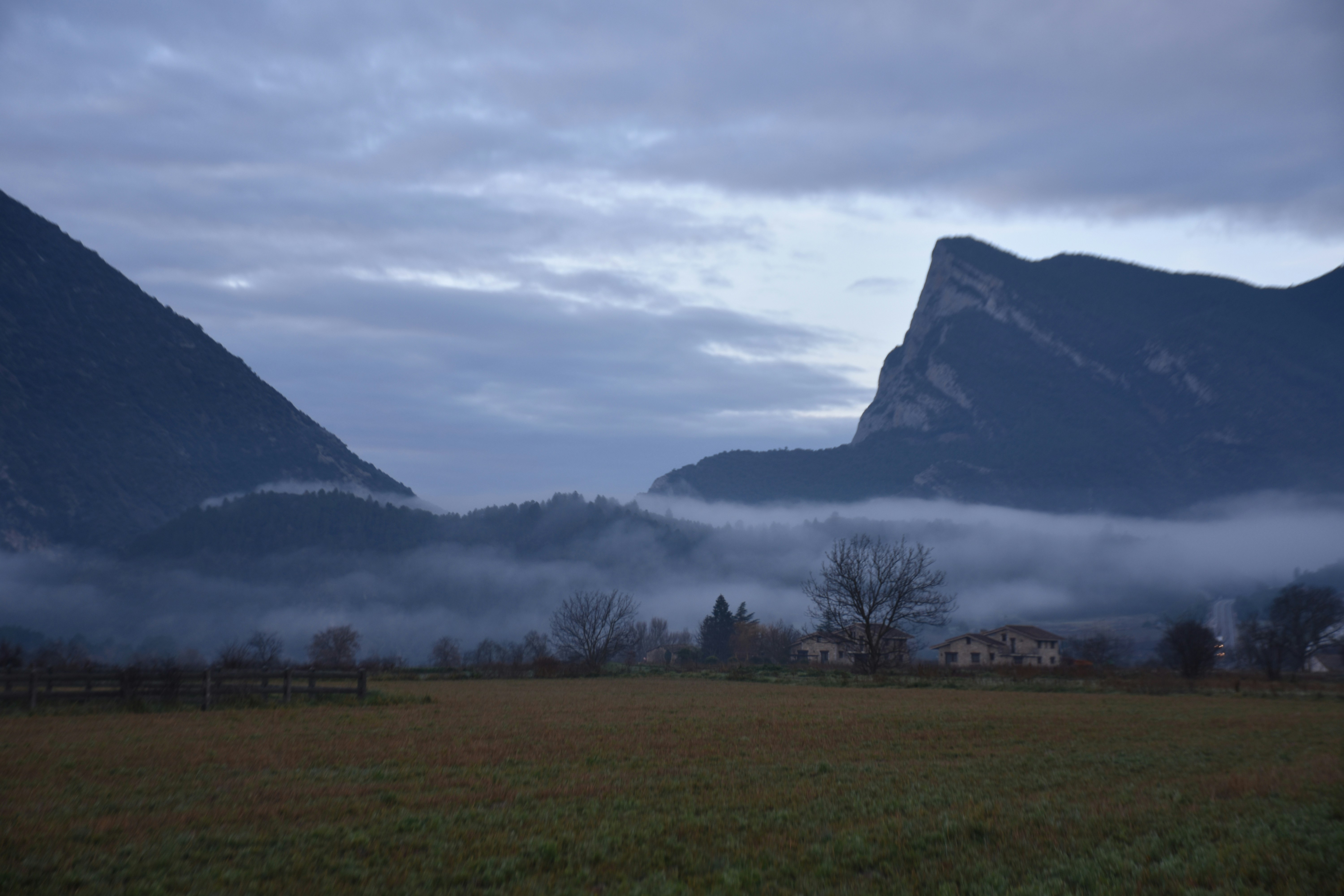ein grasbewachsenes Feld mit Bergen im Hintergrund