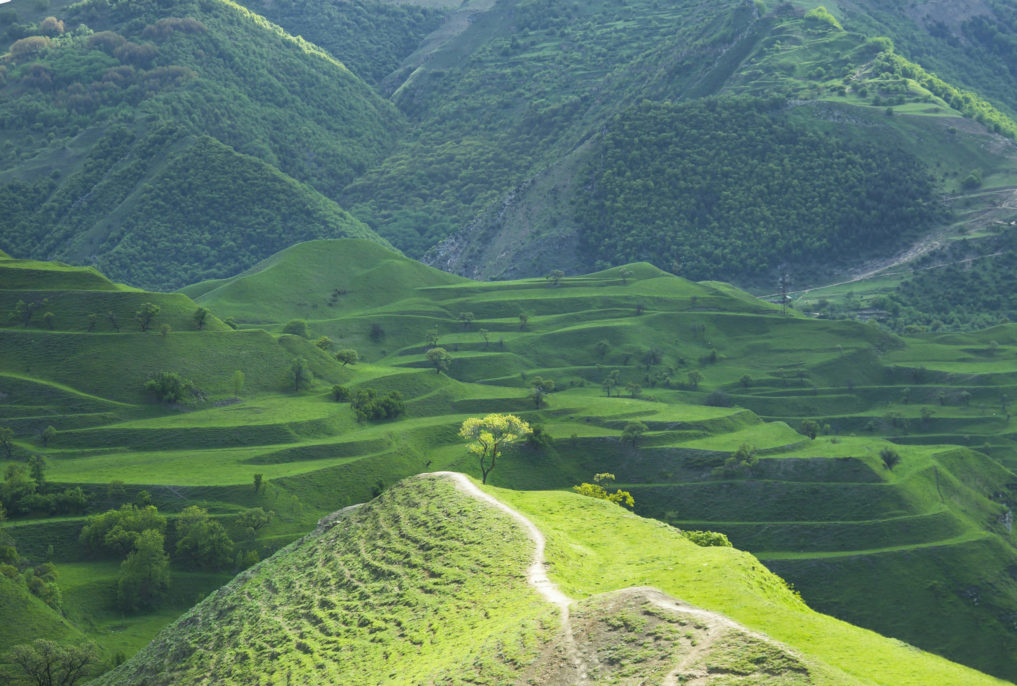 A view of a lush green valley with mountains in the background