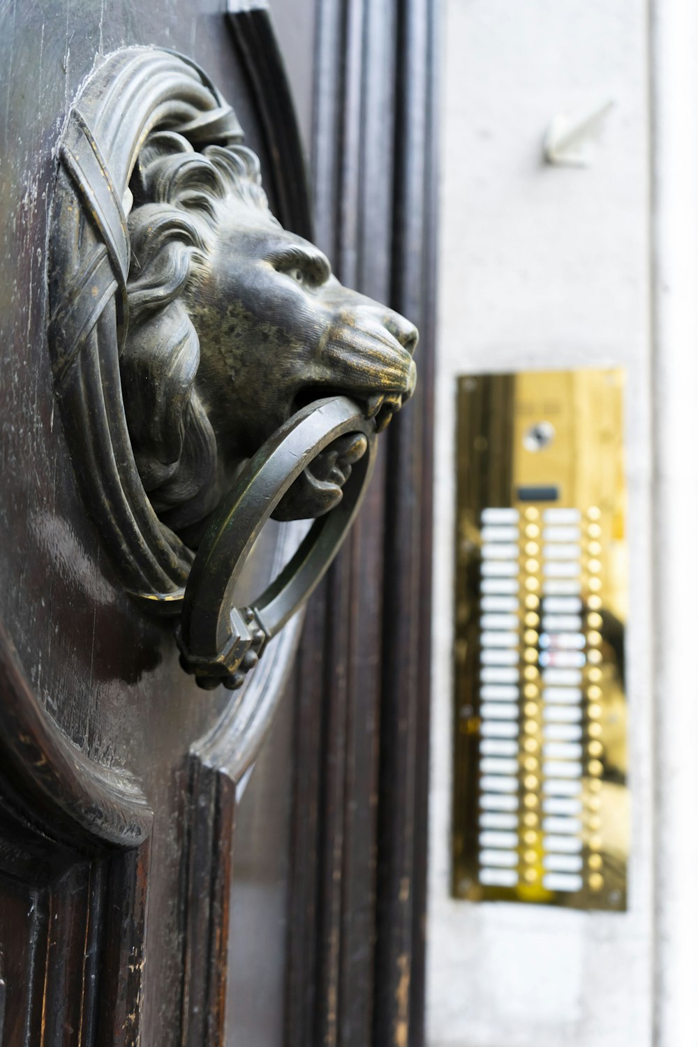 a door handle with a lion head on it