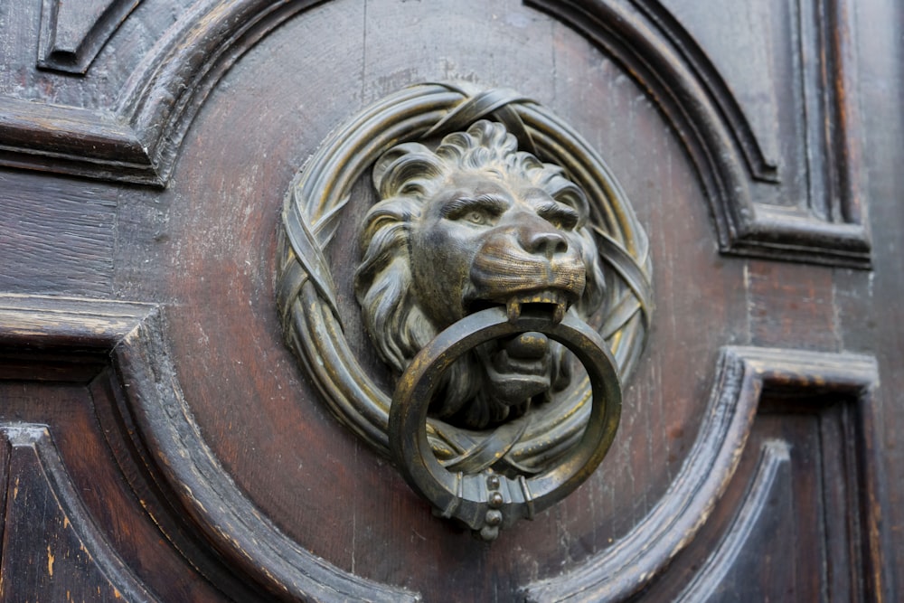 a lion's head is on a door handle