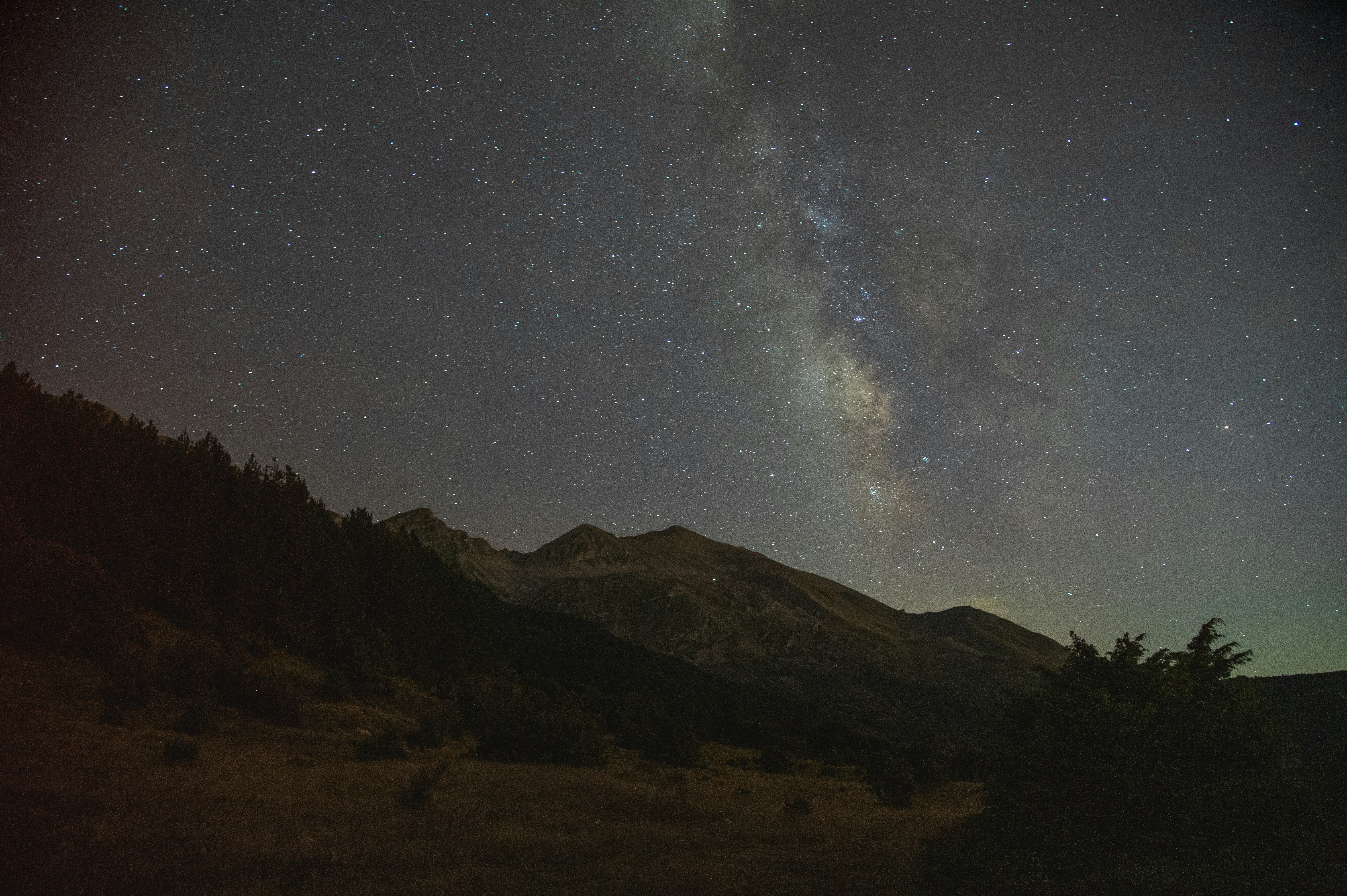 Photo by daniel_bieri