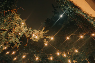 String lights creating a magical atmosphere in an outdoor setting.