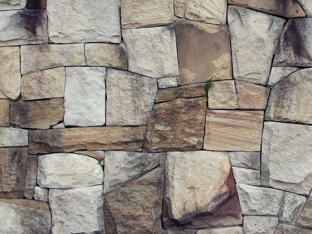 a close up of a wall made of rocks