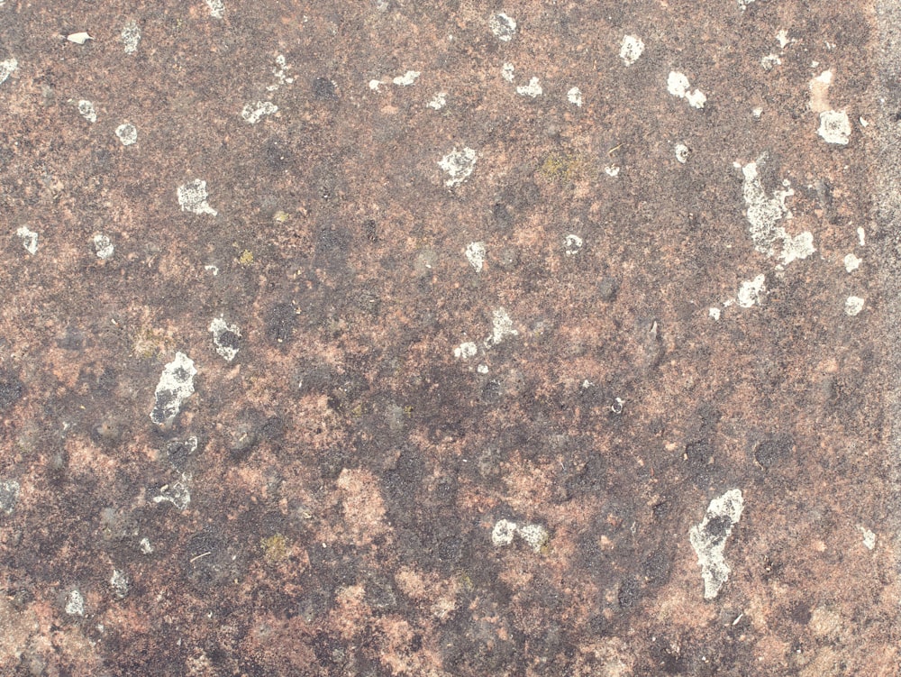 a close up of a brown surface with white spots