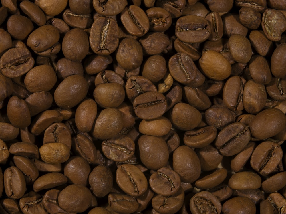 a pile of roasted coffee beans