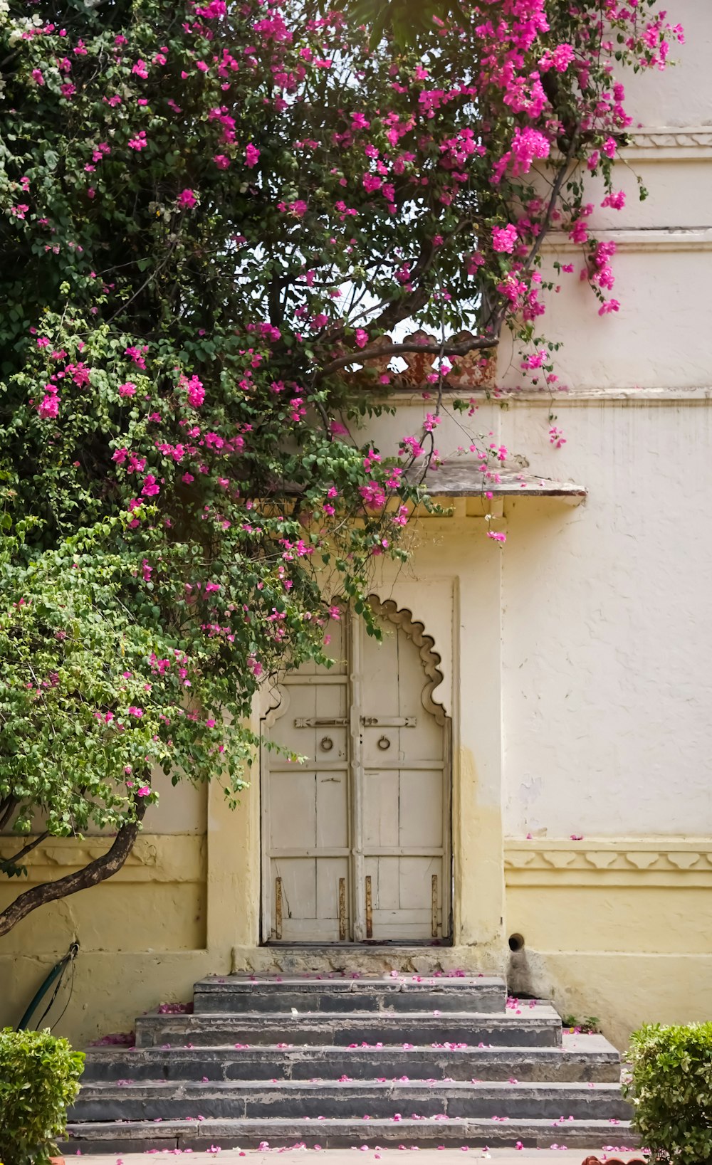 a white door and steps with pink flowers on it