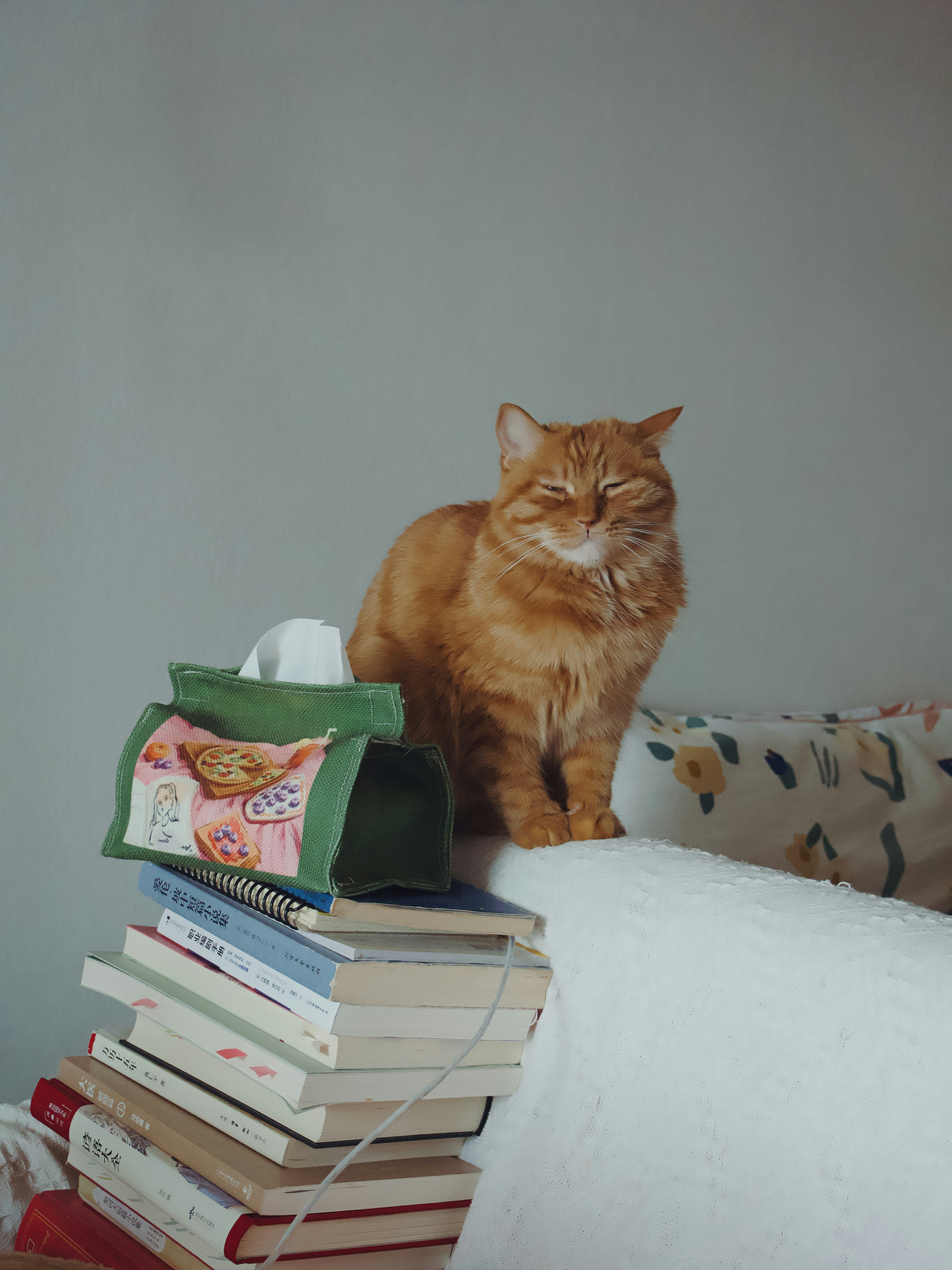 The Book Stack Bed (image credits: unsplash)