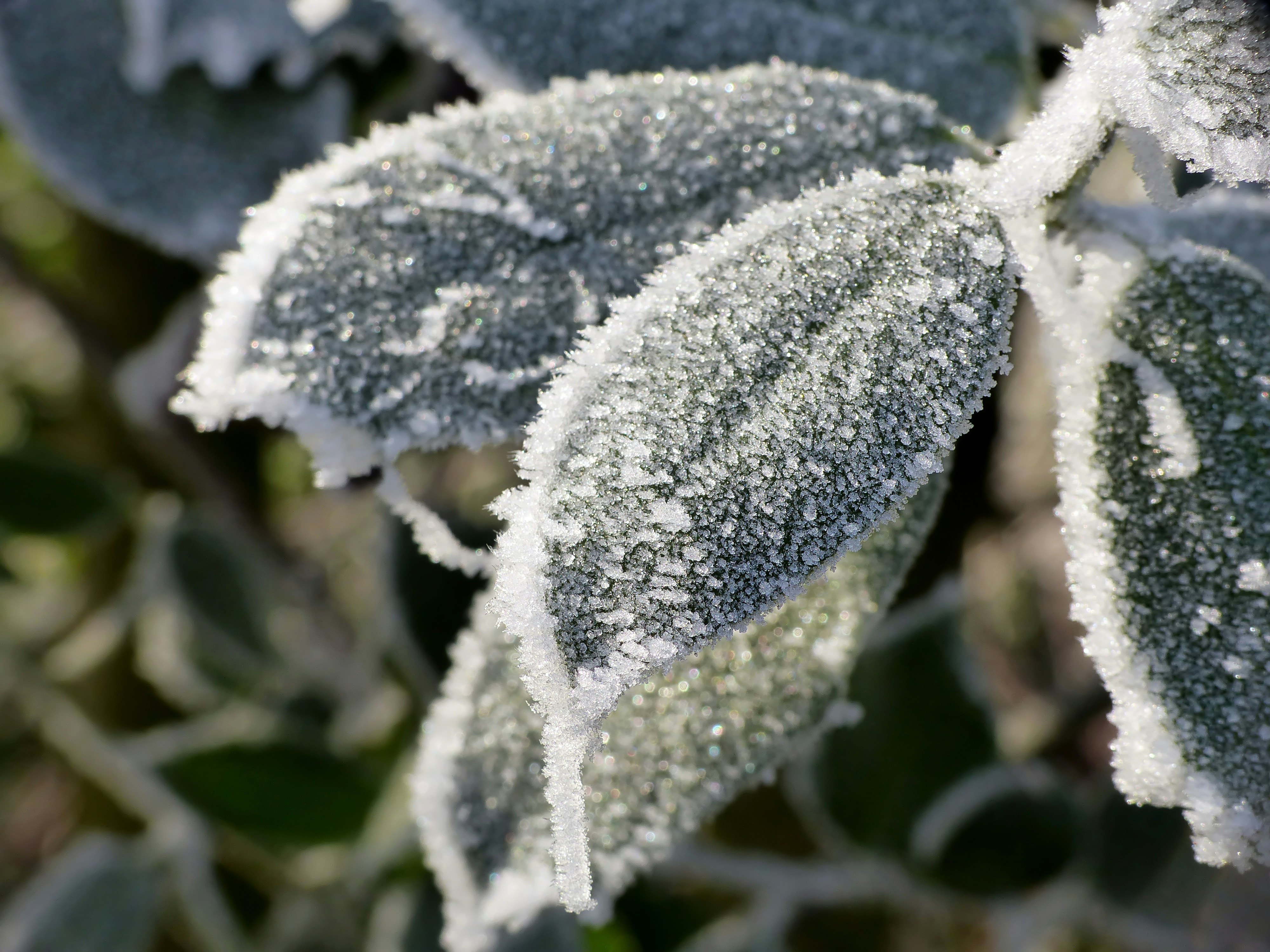 Photo by j_blueberry