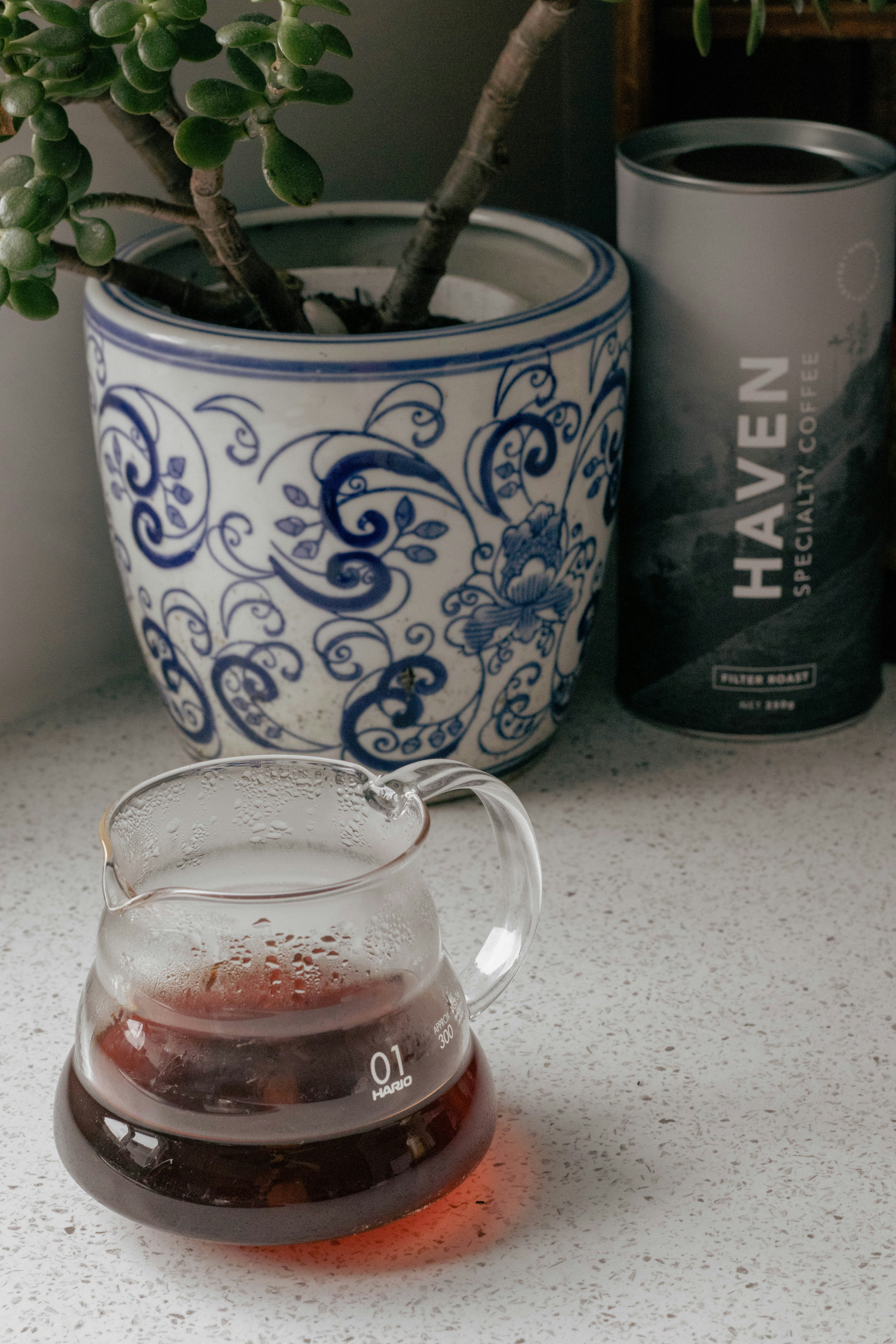 um vaso de planta sentado em um balcão ao lado de um copo de medição