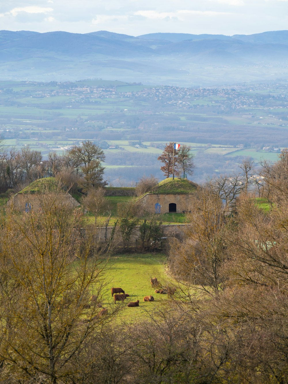 a herd of cattle grazing on a lush green hillside