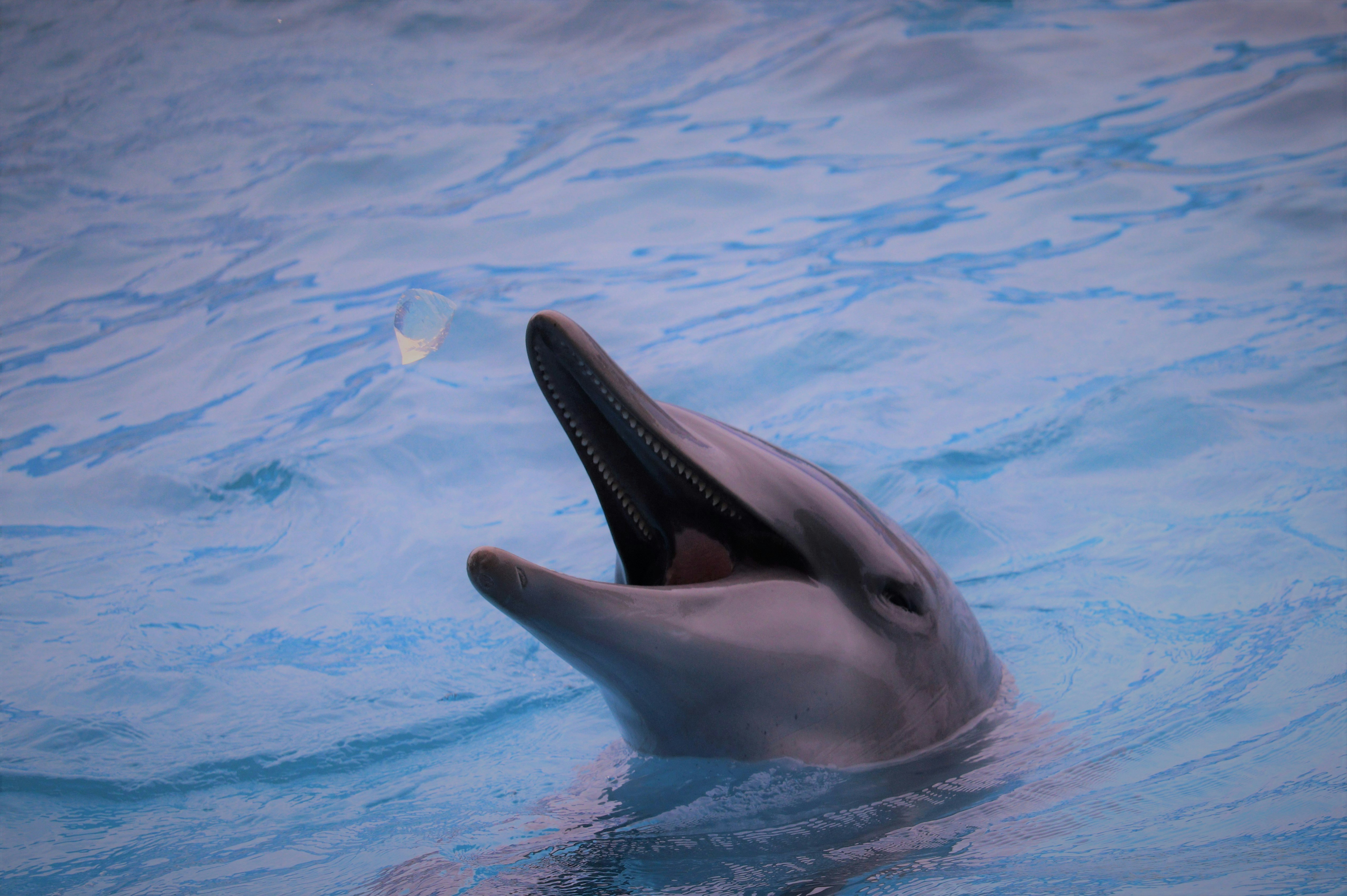 Photo by sandeepsapkota