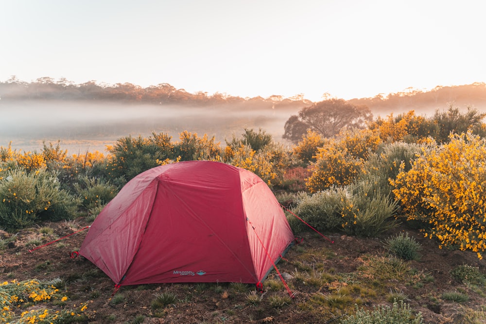 a red tent sitting on top of a lush green field