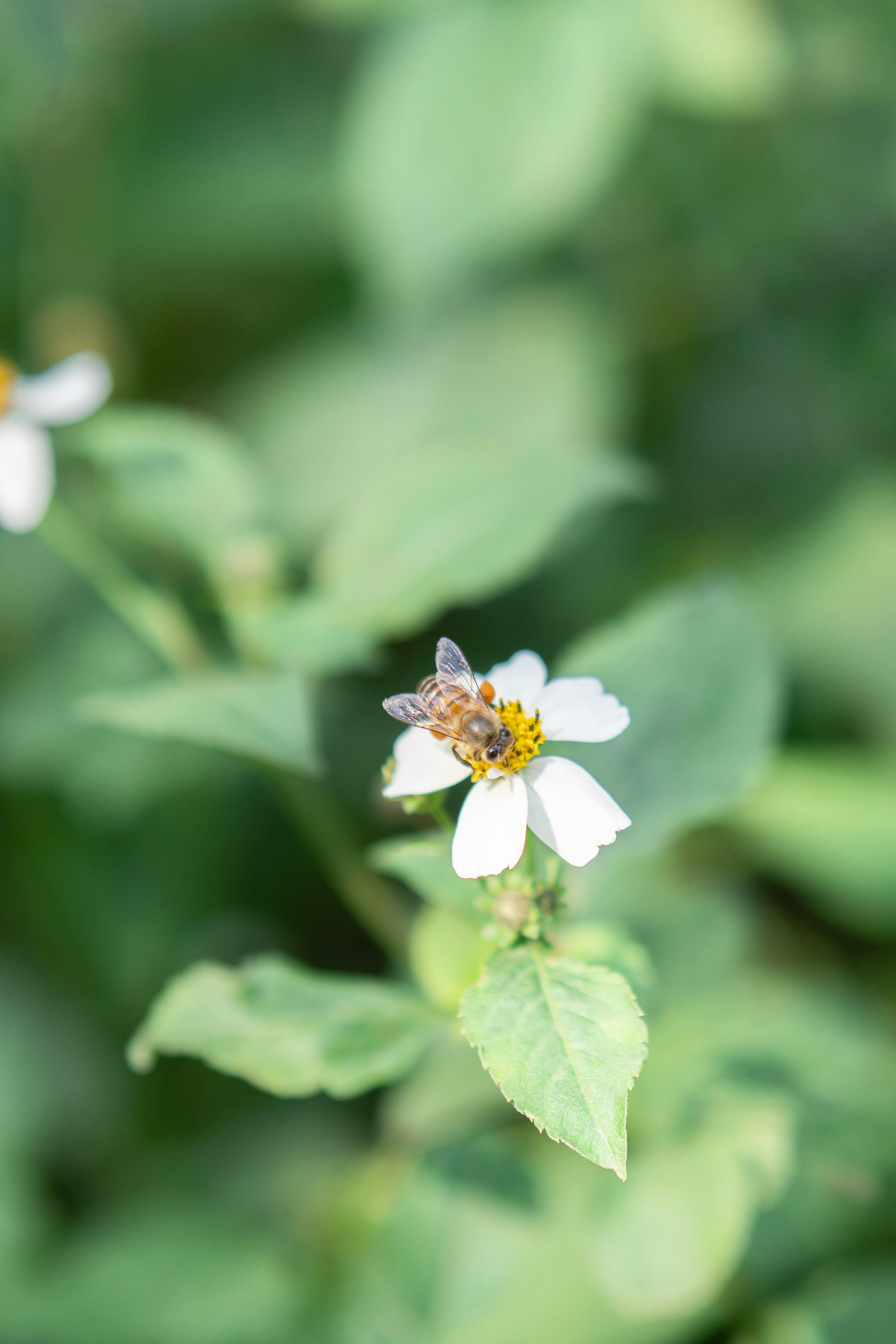 woman wearing yellow long-sleeved dress under white clouds and blue sky during daytime