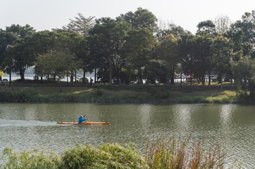 Close-up of a kayaker paddling through calm river waters surrounded by lush greenery.