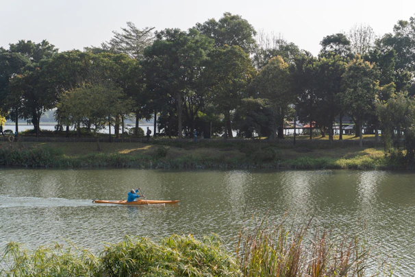 A kayaker paddling through tranquil waters framed by tall grasses and wildflowers in Polesie.