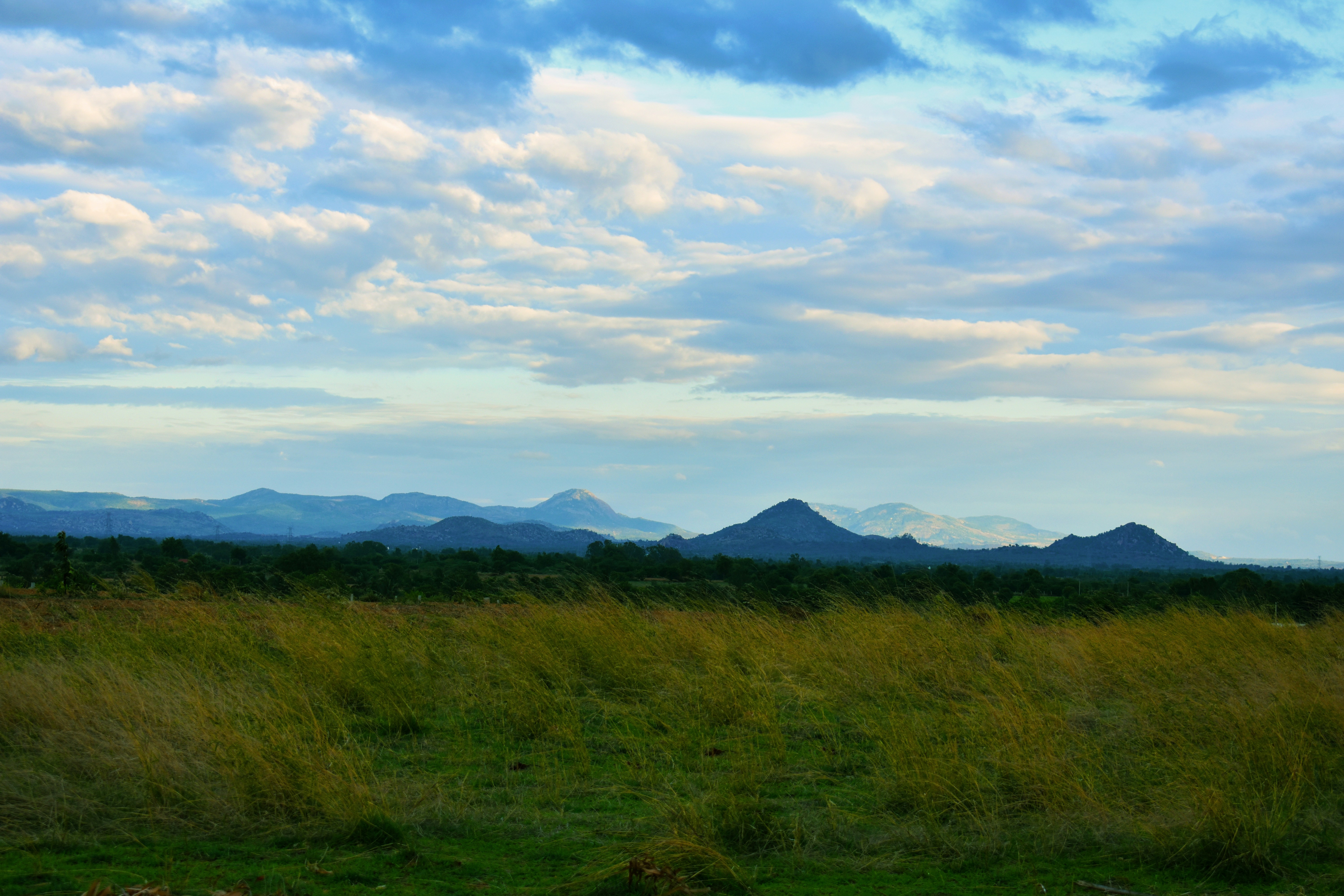 Photo by akabhieminem