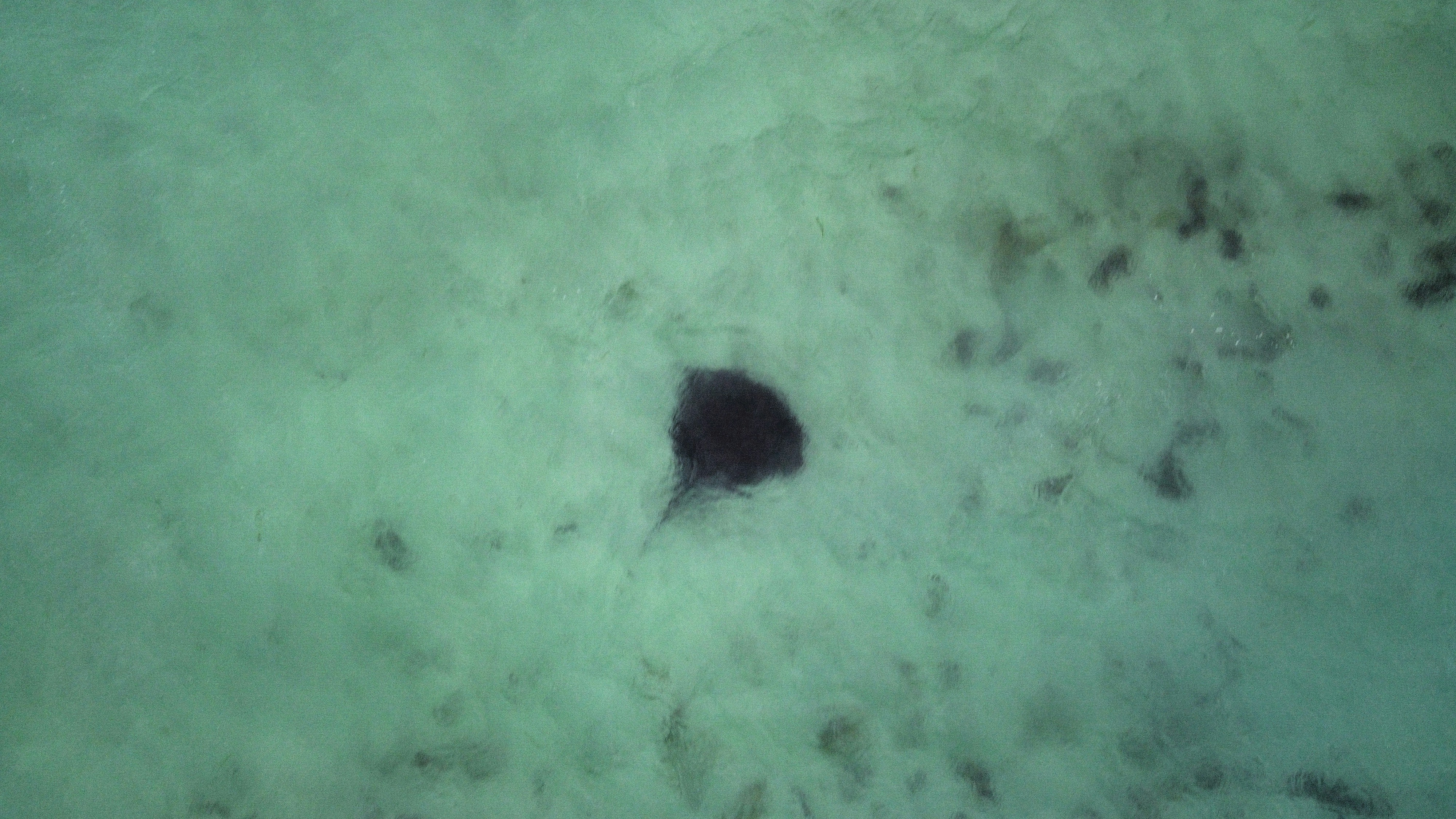 a black object floating in the middle of a body of water