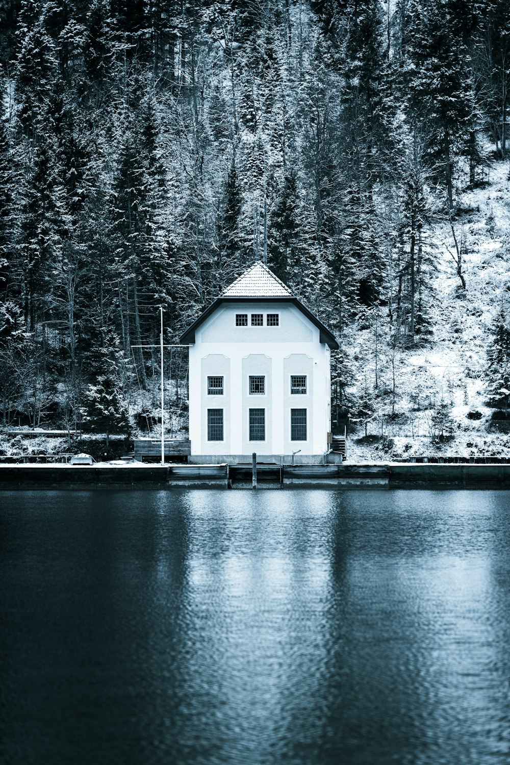 숲 옆 호수 위에 앉아 있는 백악관