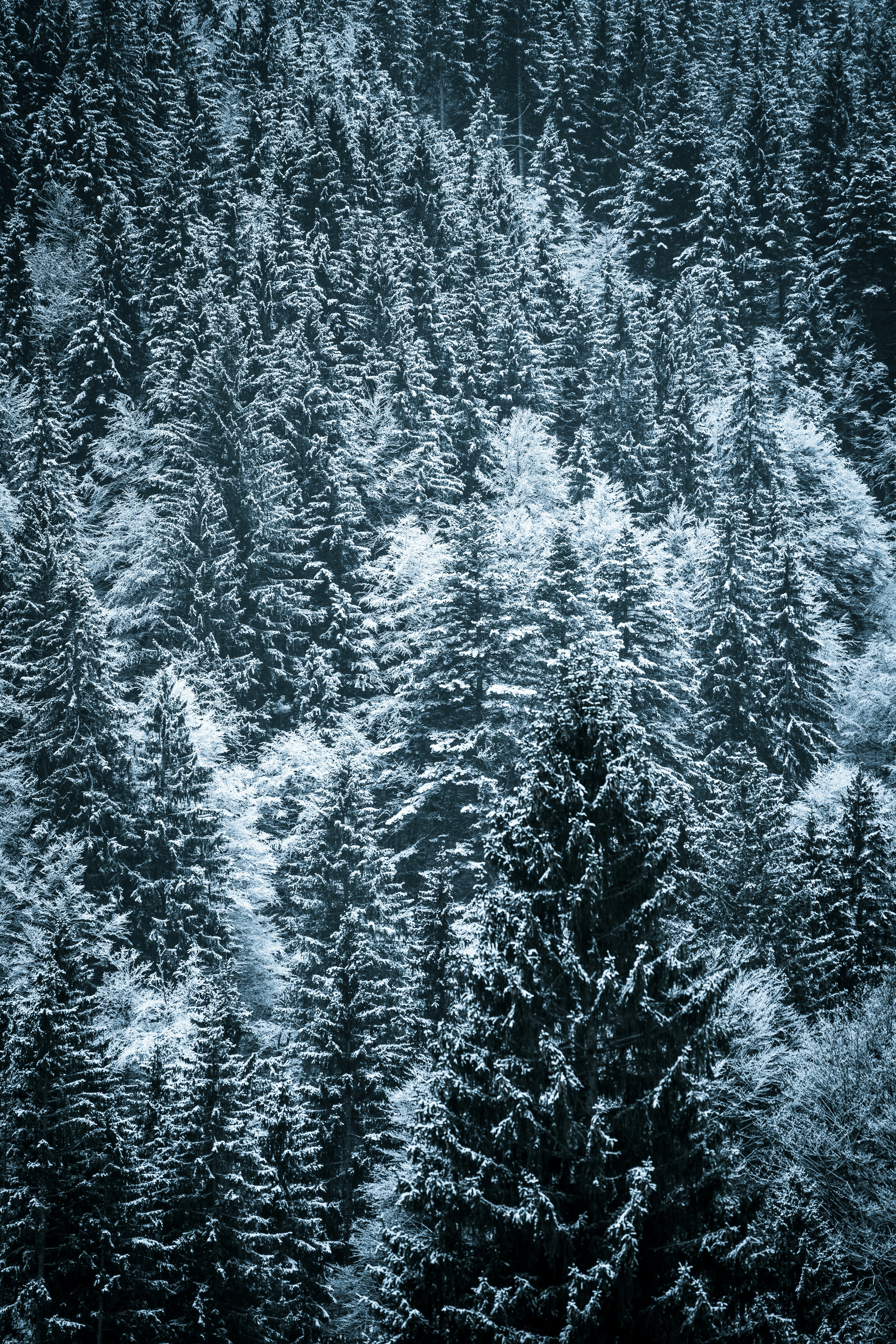 Photo by beckerworks