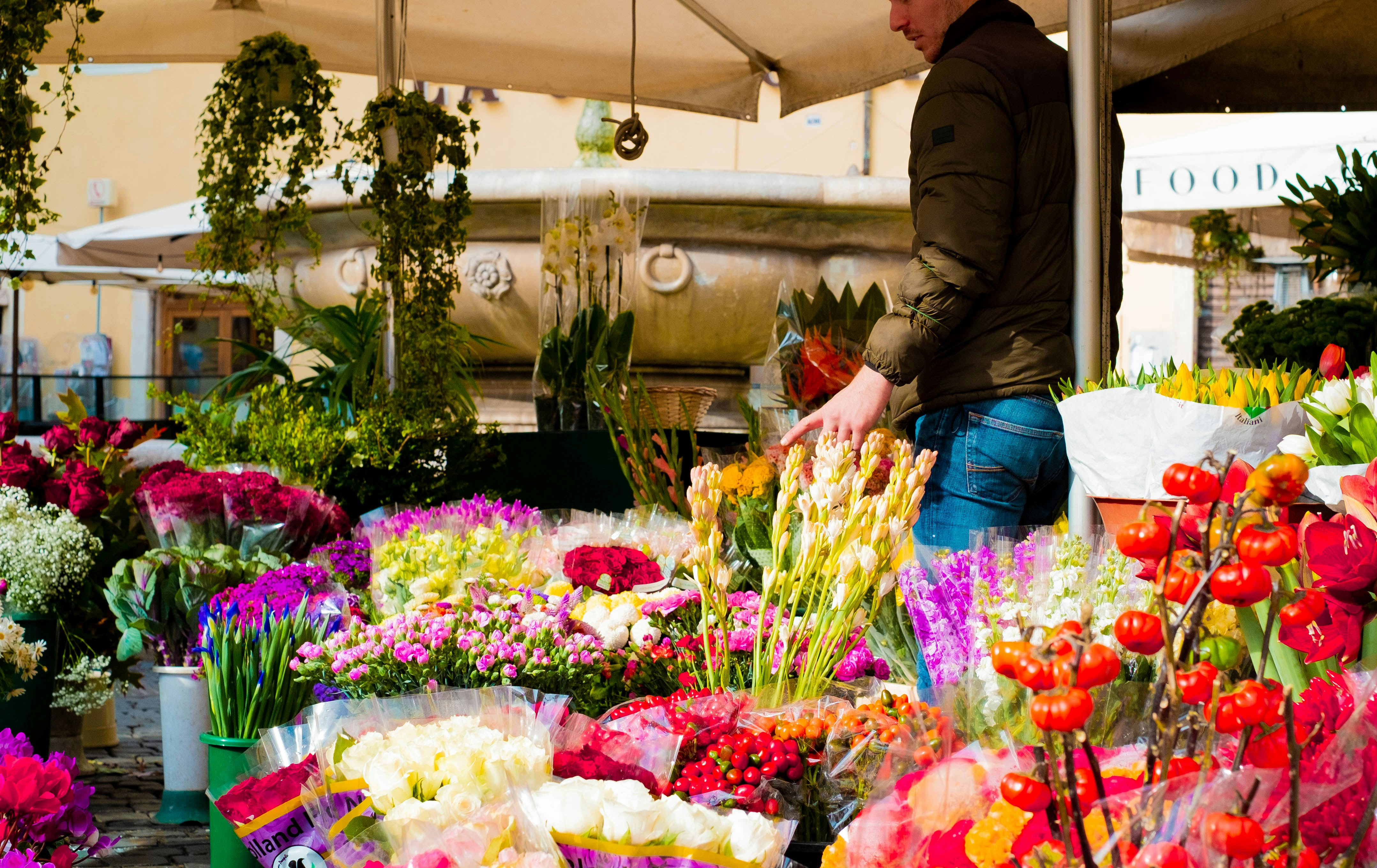 Photo by eleonoirewho