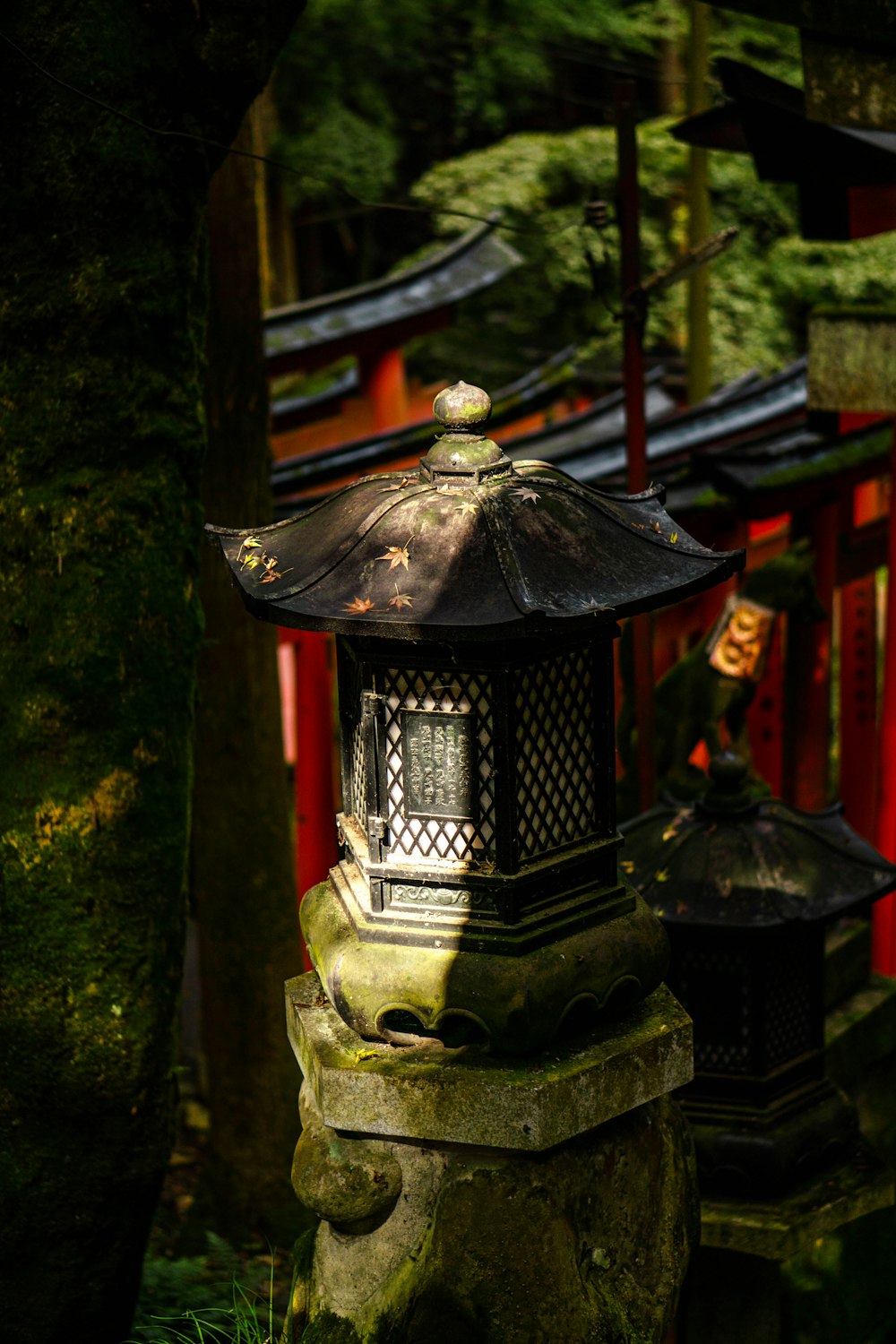 a lantern in the middle of a forest