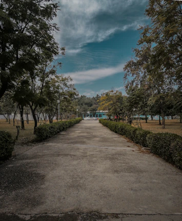 A wide avenue bordered by neatly trimmed hedges and blooming flower beds under a clear sky.