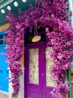 Welcoming entrance of a psychological therapy clinic with purple and green details.