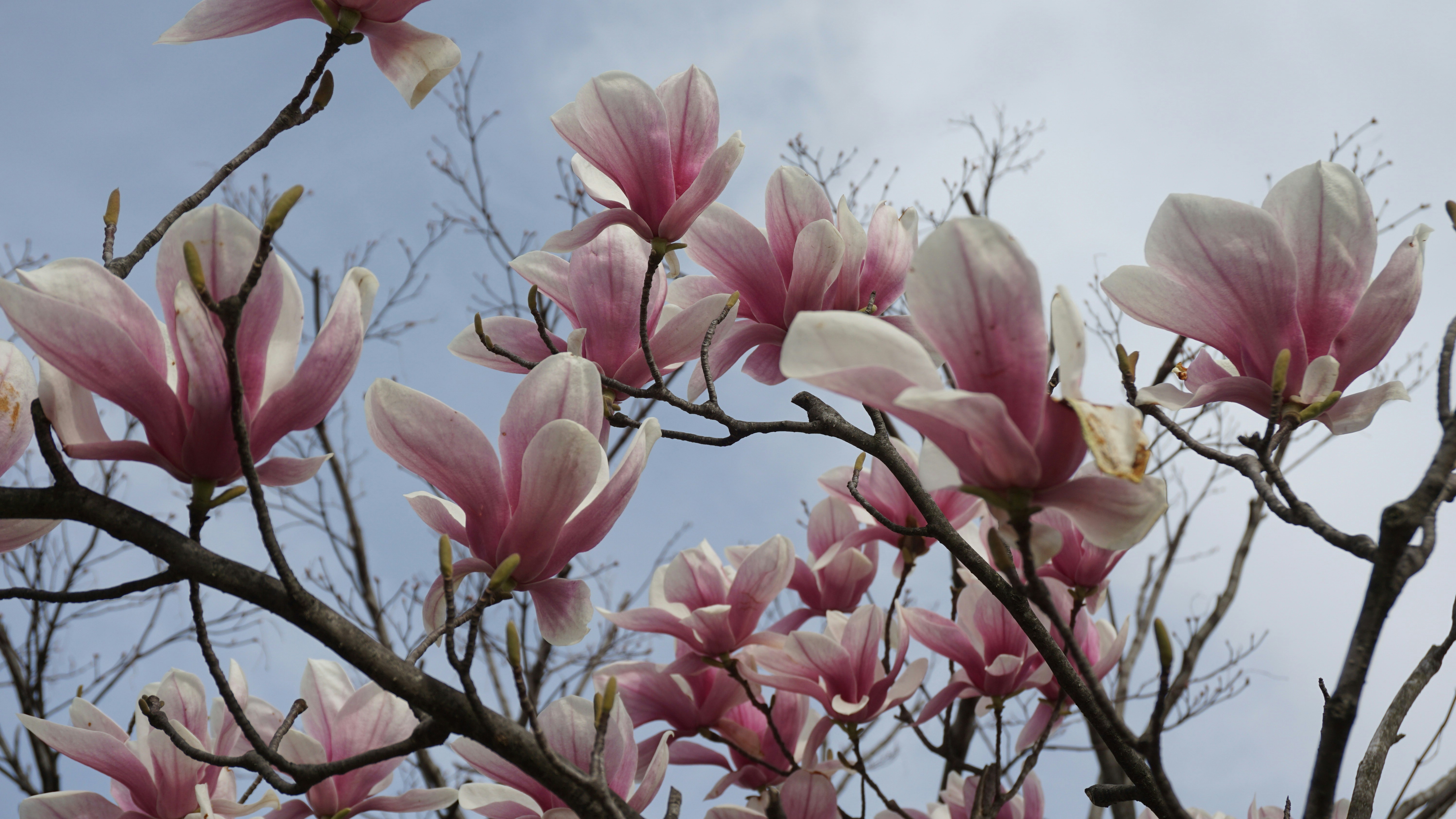 Photo by dontdenyyour_9