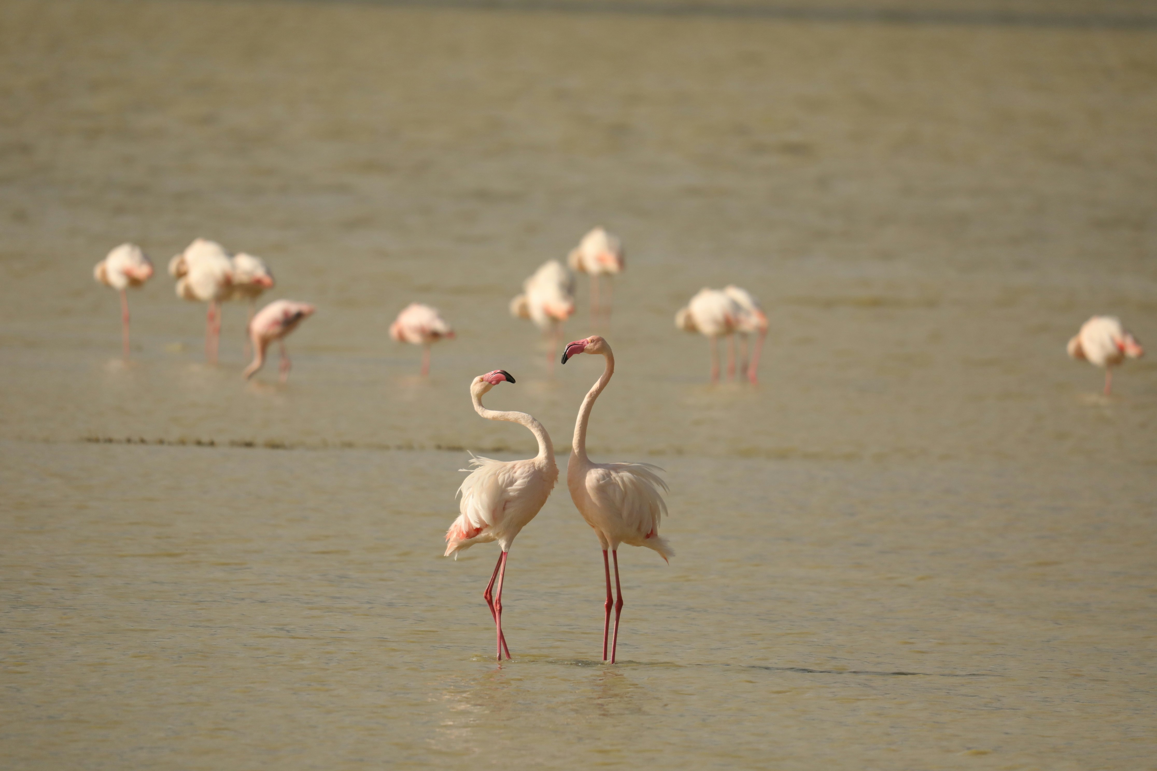 Photo by lesteryukai87