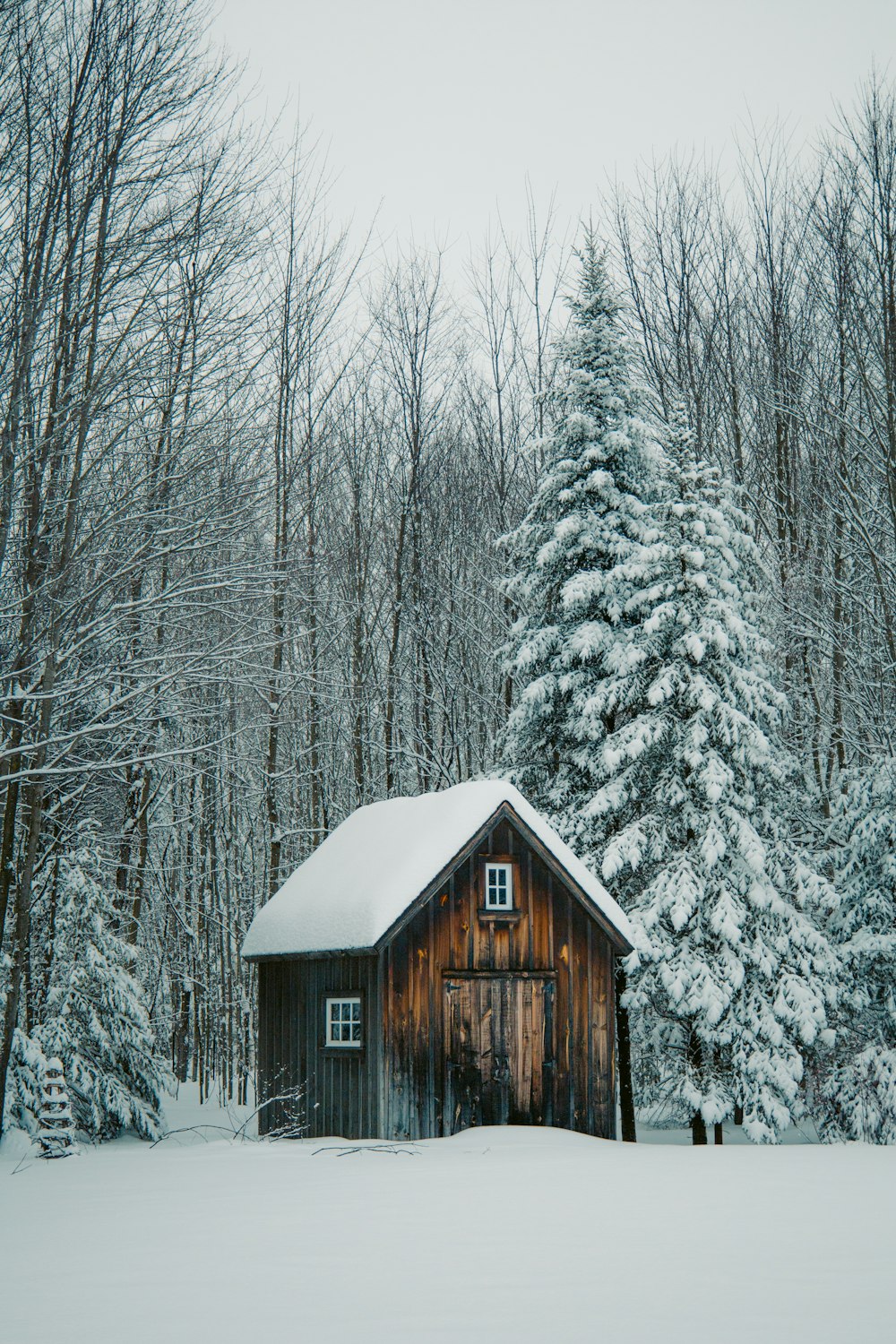 a small cabin in the middle of a snowy forest