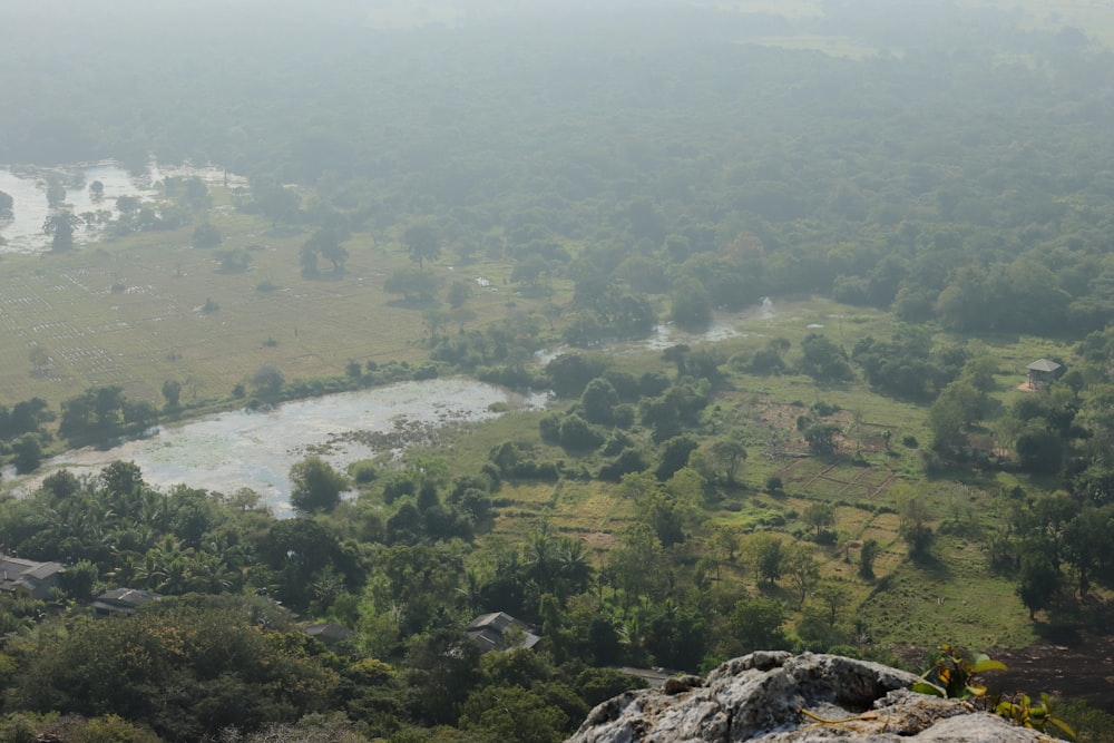 a view of a river from a high point of view