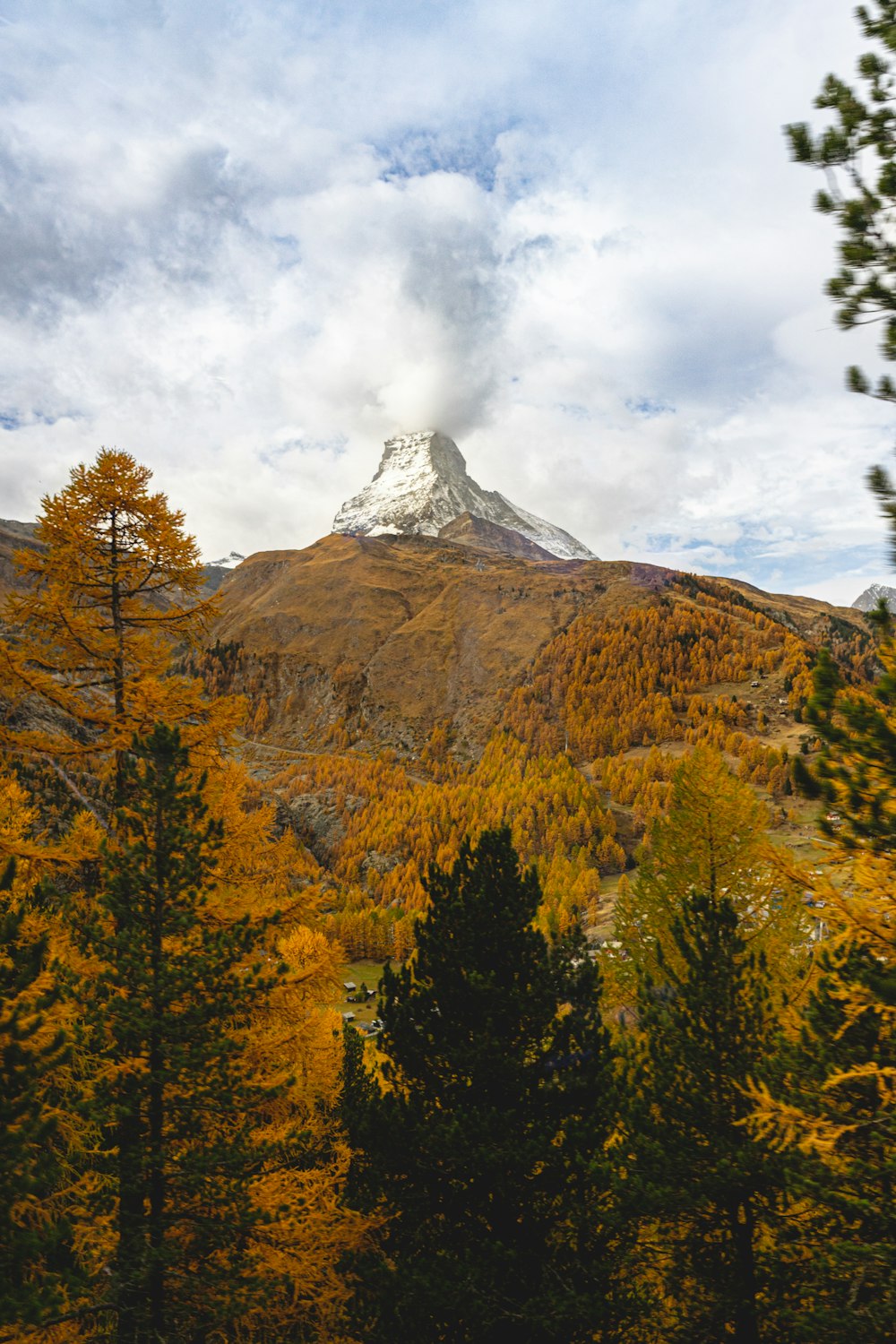 a view of a mountain with trees in the foreground