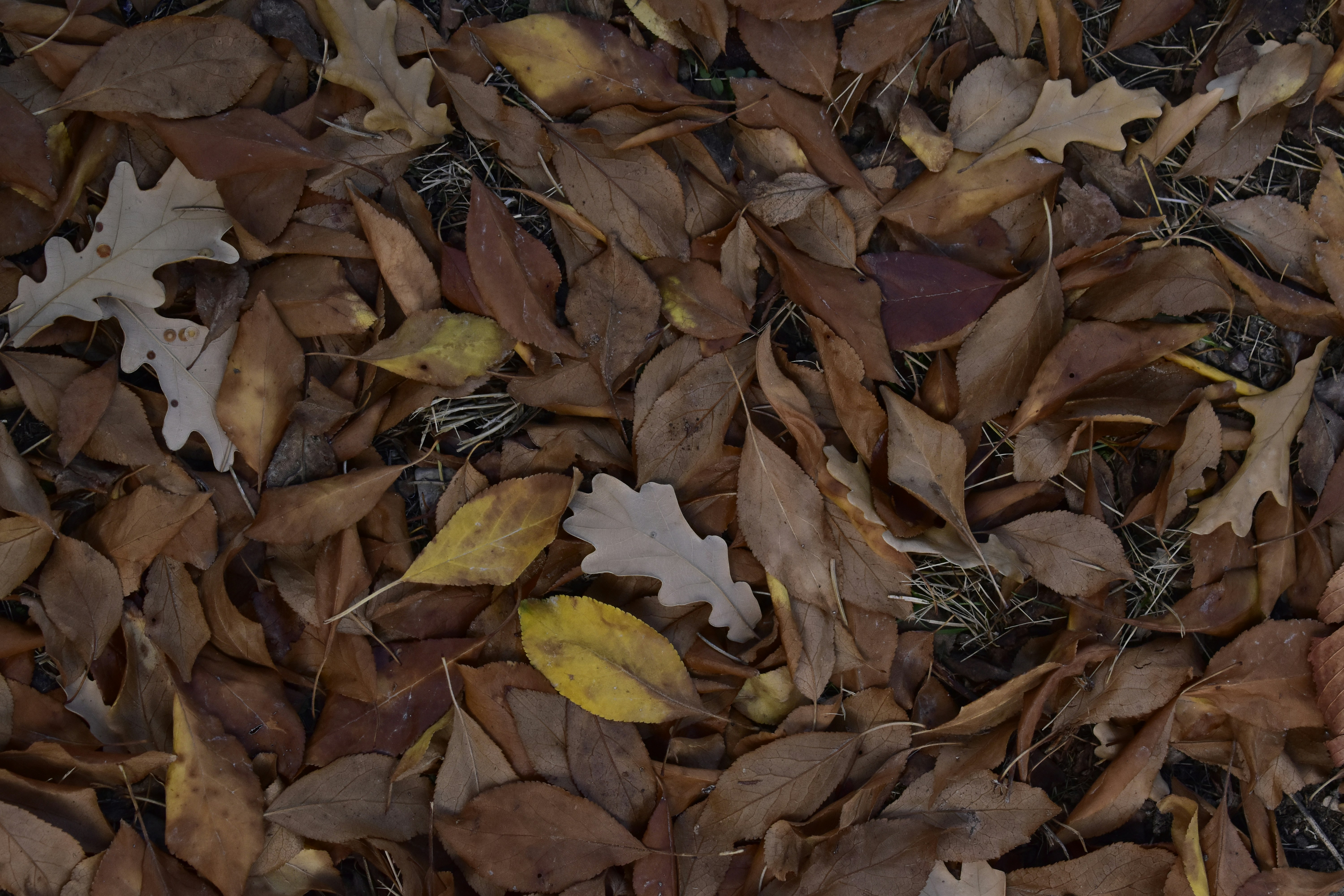 Photo by itscagatayy