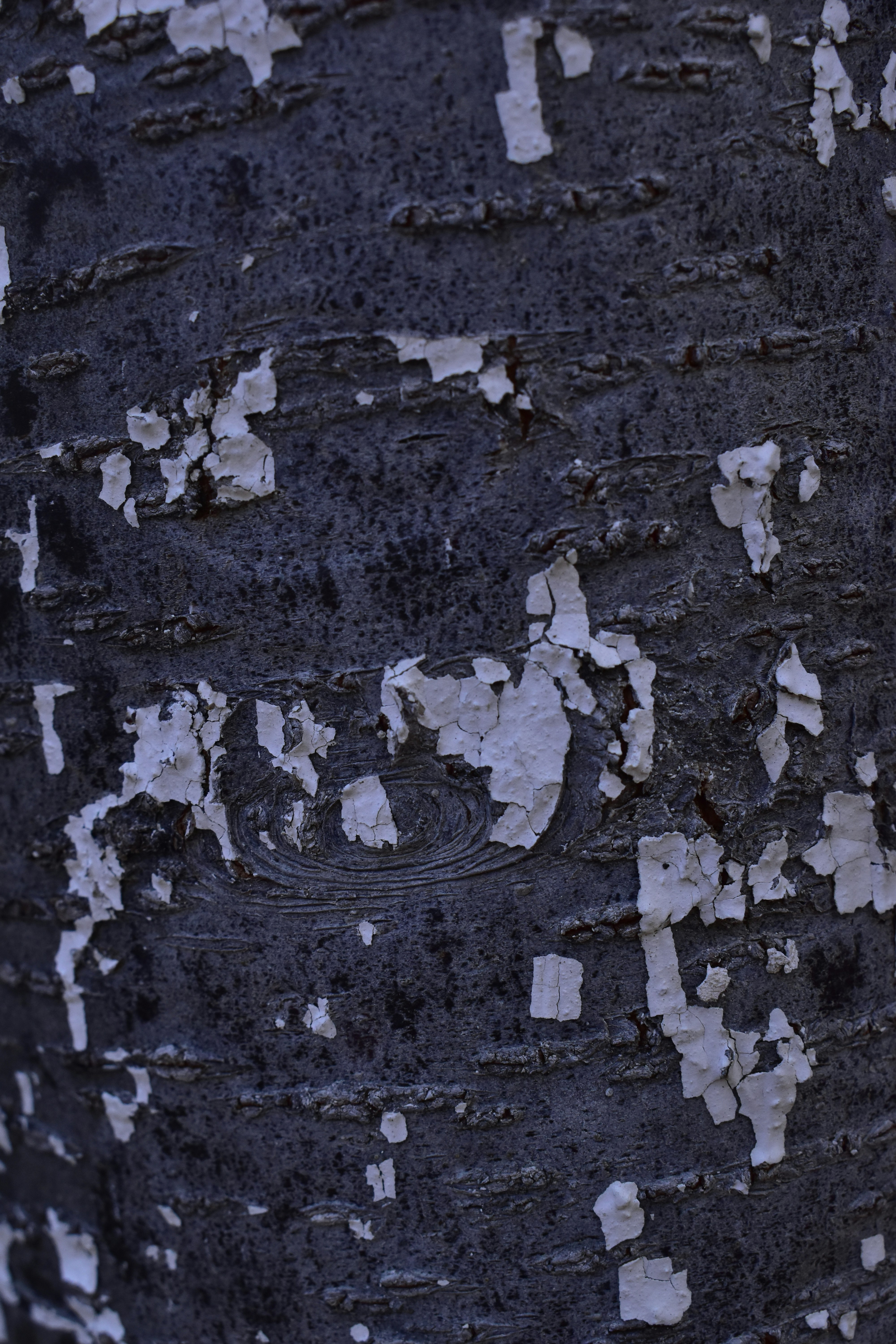 Photo by itscagatayy