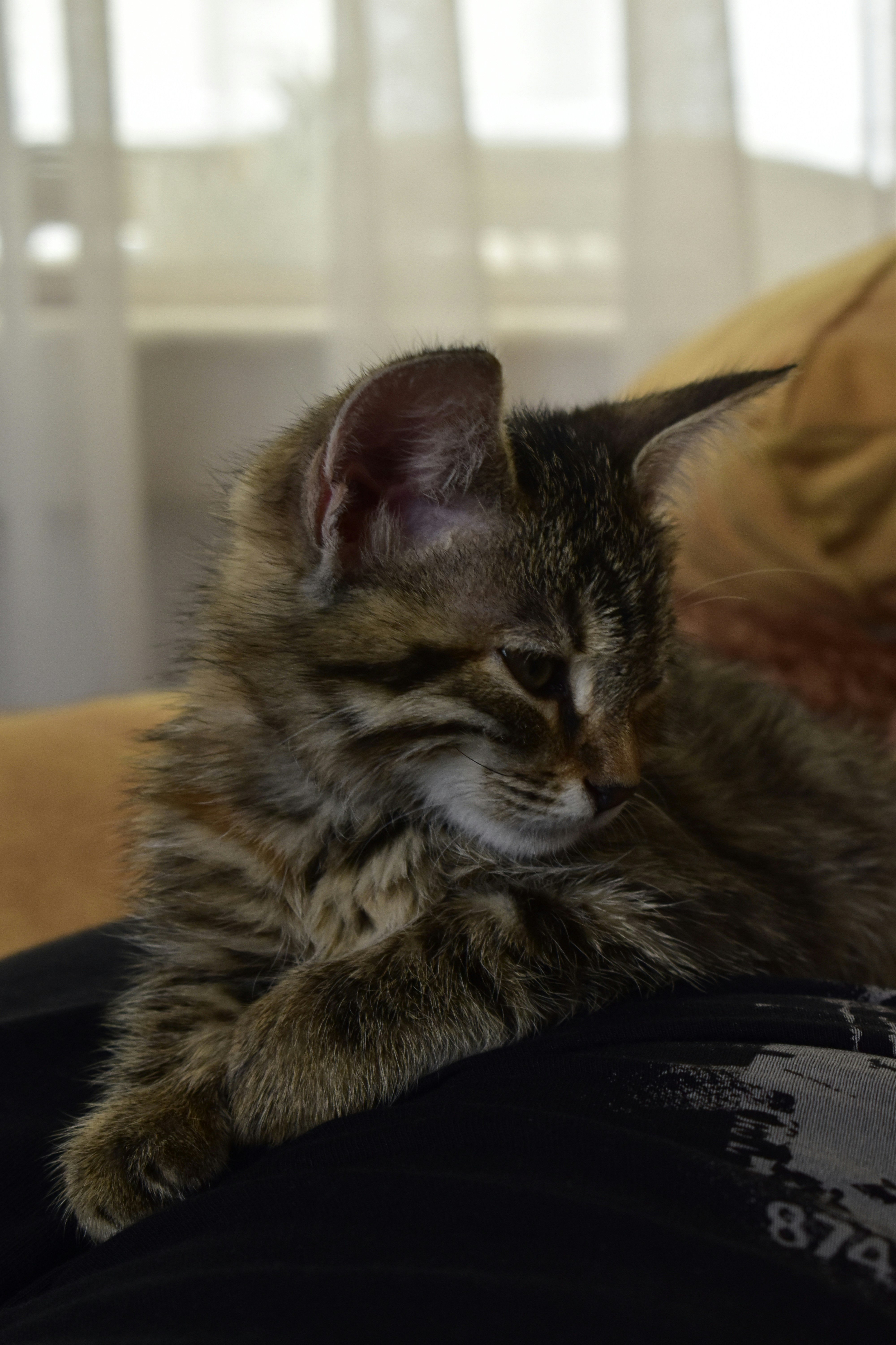 Photo by itscagatayy