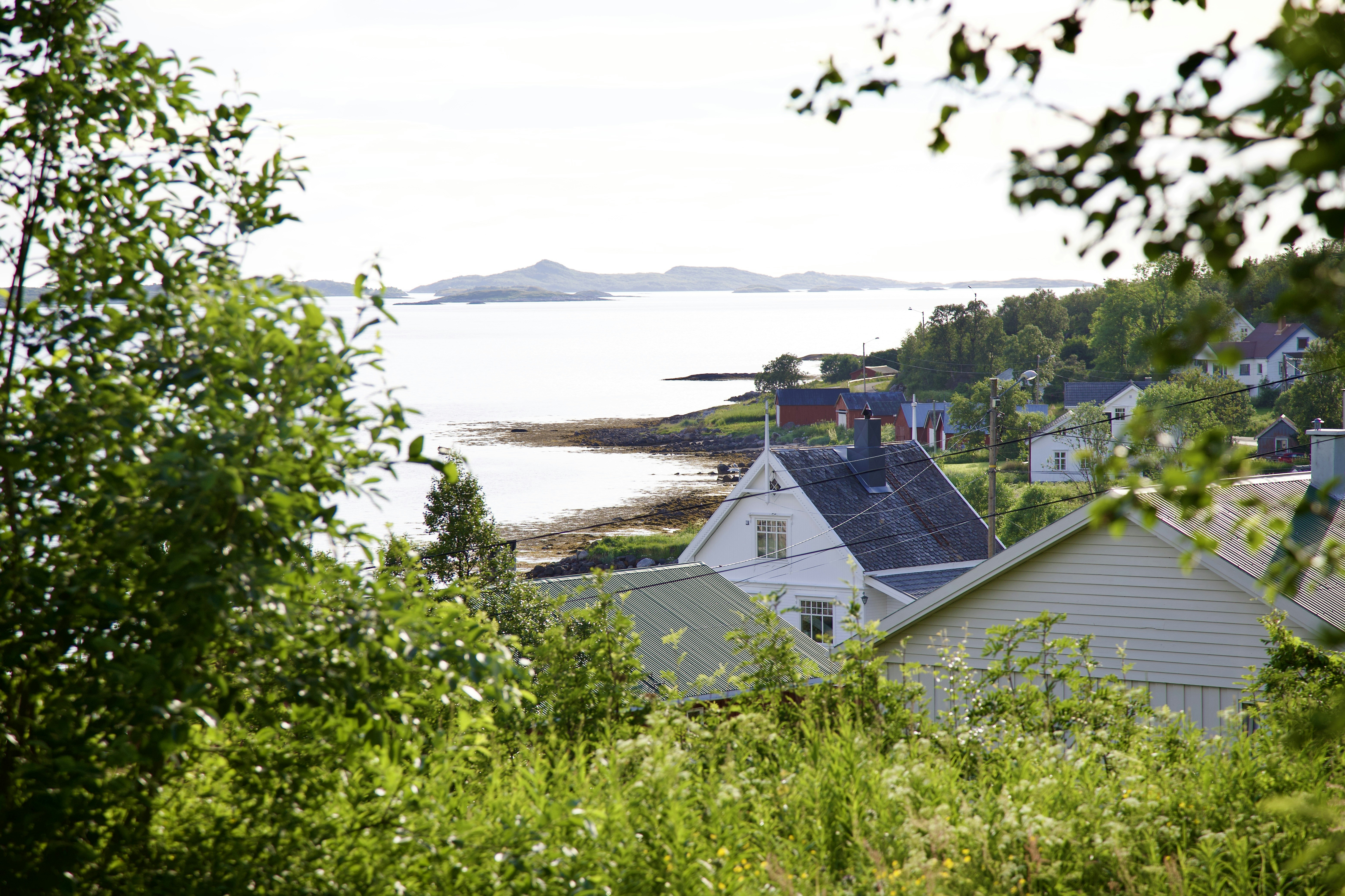 Photo by stockbirken