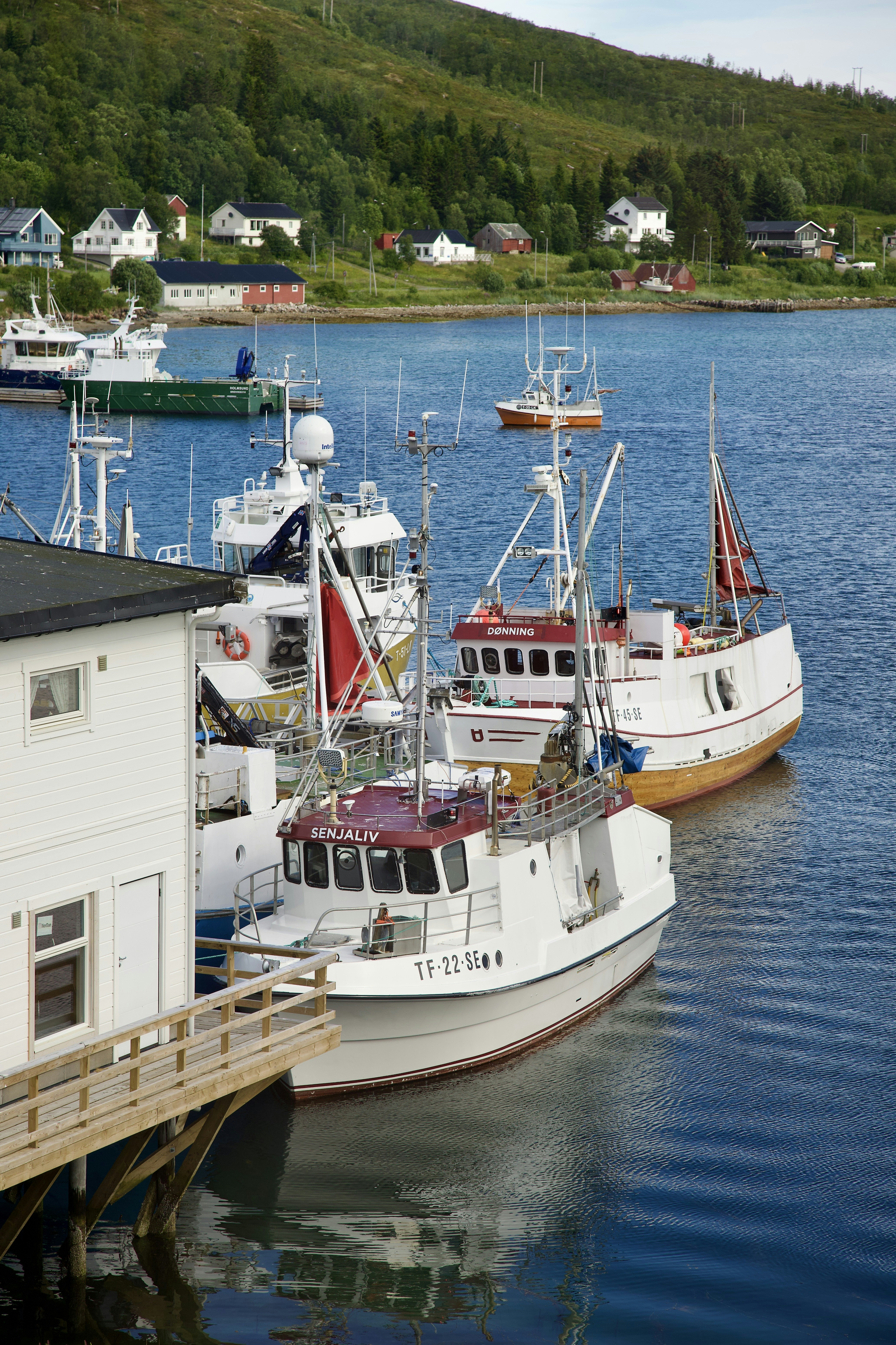 Photo by stockbirken