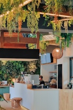 A modern cafe interior with lush green plants hanging from the ceiling, a sleek white and wooden counter, and a staff member working at the coffee station. The walls are adorned with greenery, adding a natural and fresh atmosphere. Several wicker stools and a glowing lamp create a cozy ambiance.