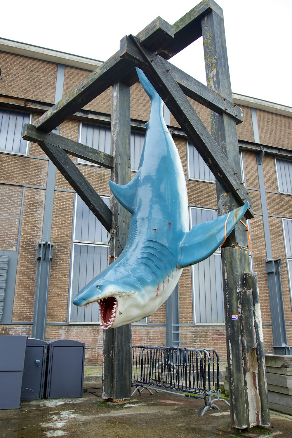 Una gran escultura de tiburón colgando del costado de un edificio