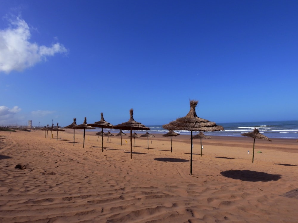 a row of umbrellas sitting on top of a sandy beach