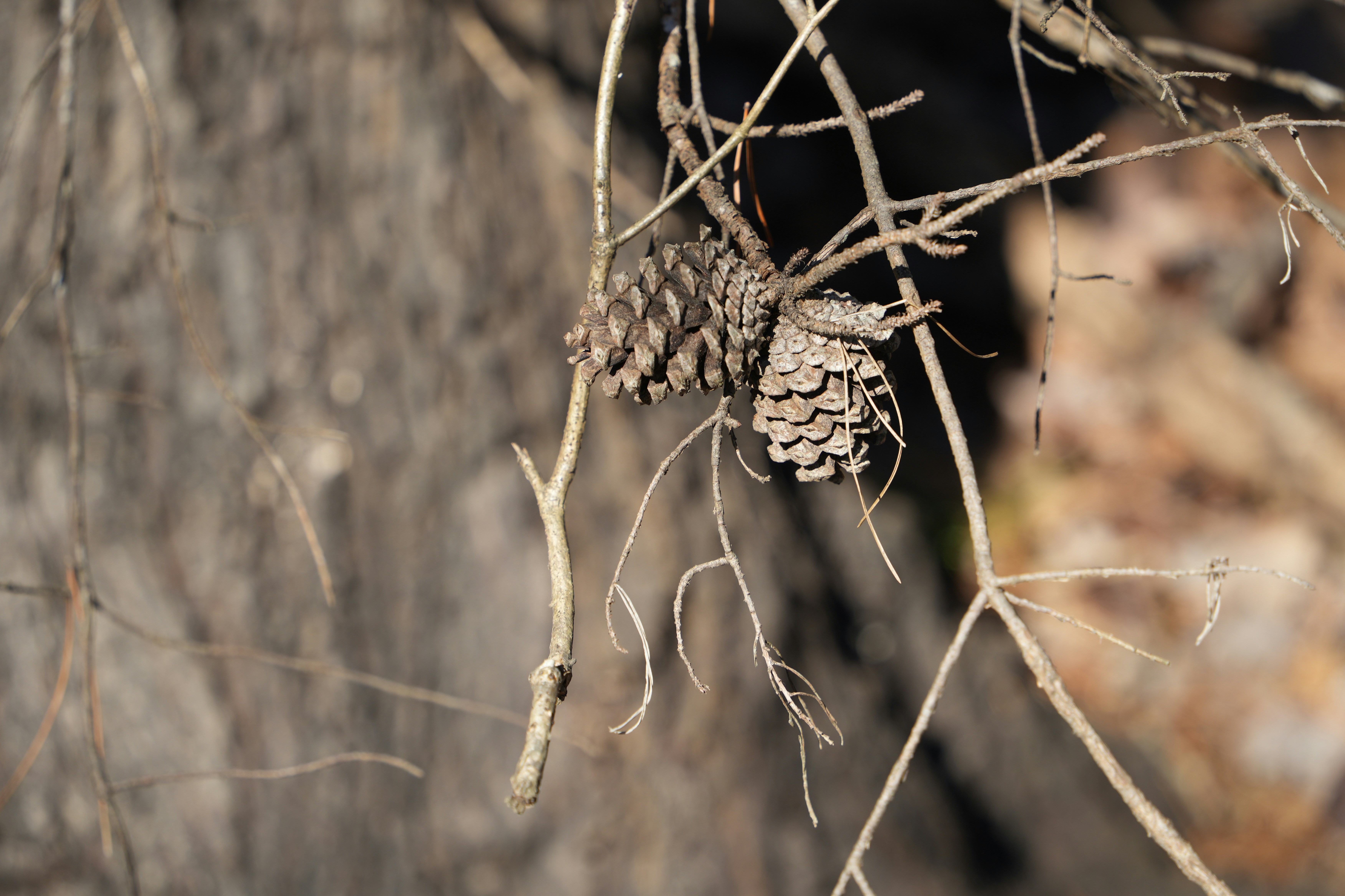 Photo by anickoloff1111