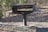 A weathered metal grill stands amidst fallen leaves in a forested area. The grill shows signs of rust and is surrounded by trees with sparse foliage, suggesting it is either autumn or winter.