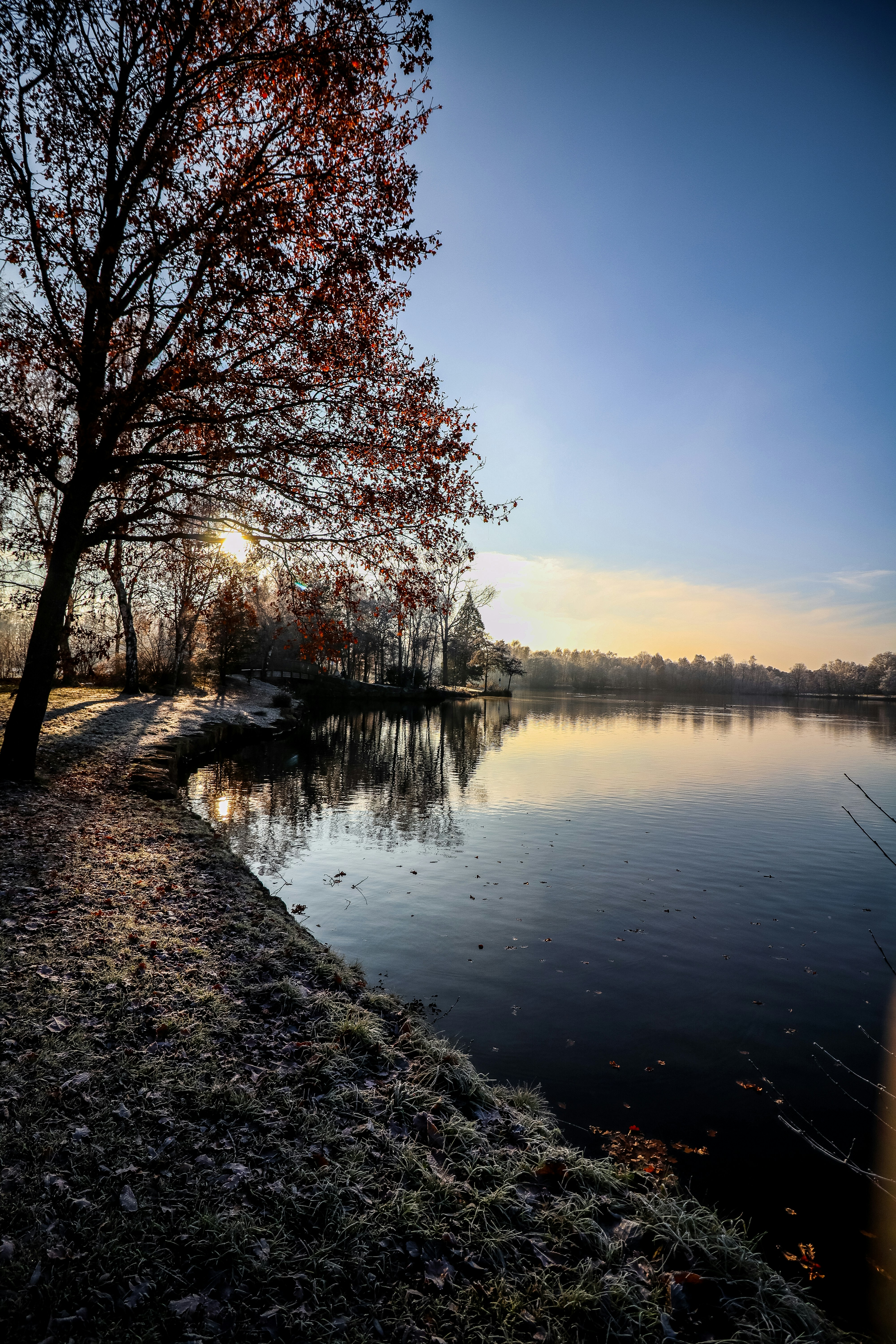 Photo by newe_photography