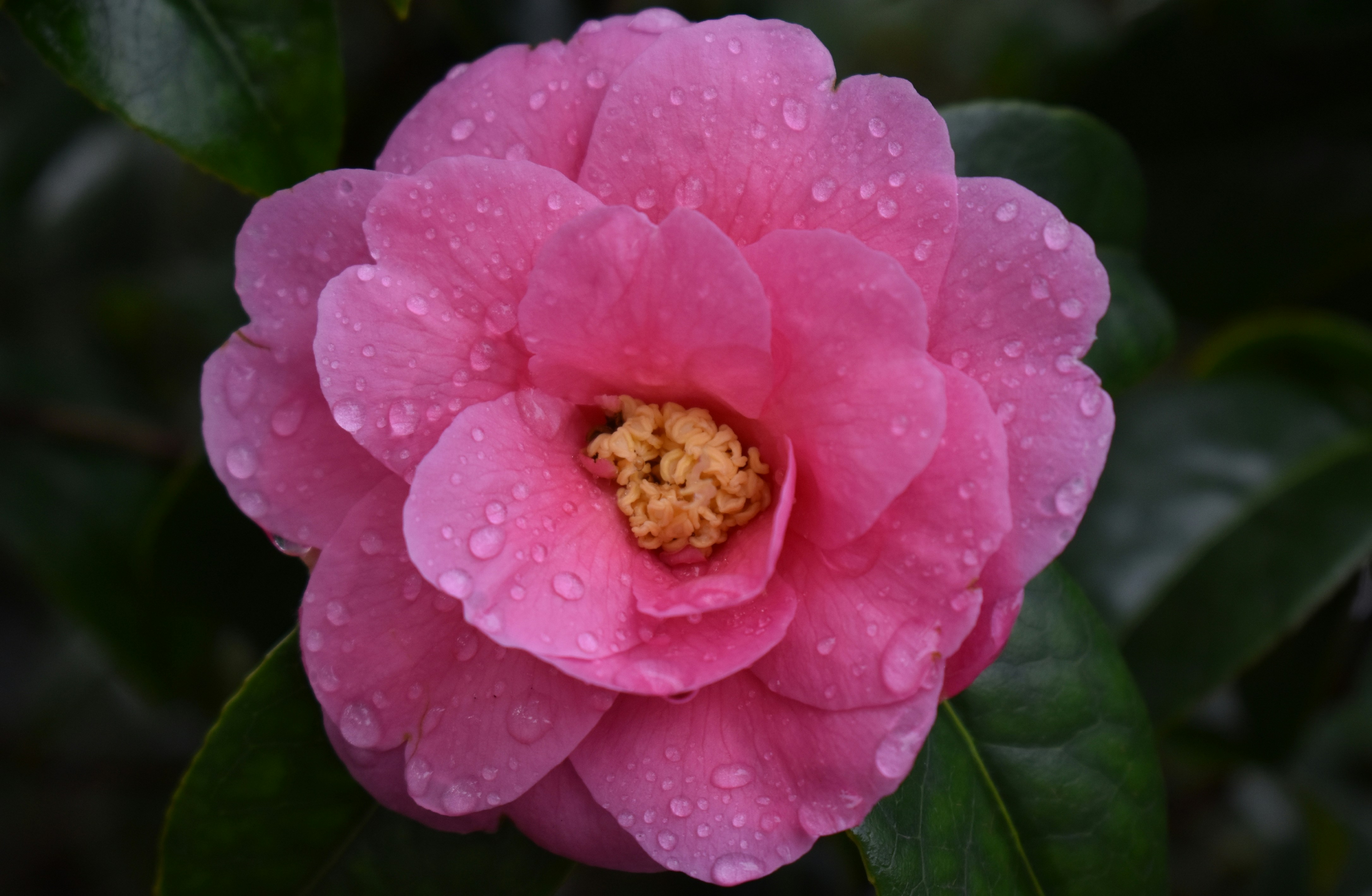 Photo by rubylovephotography