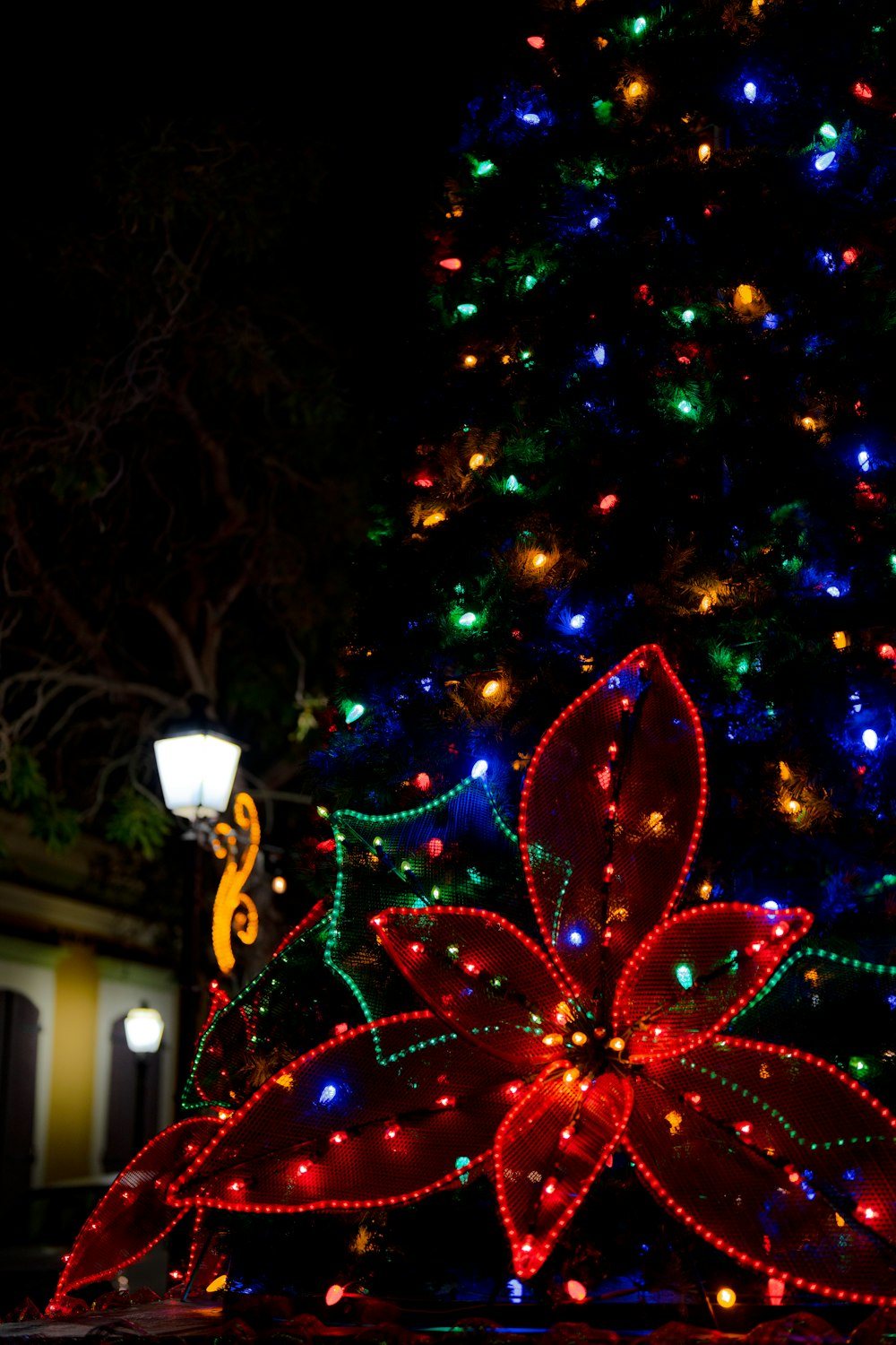 a lit up christmas tree in the dark