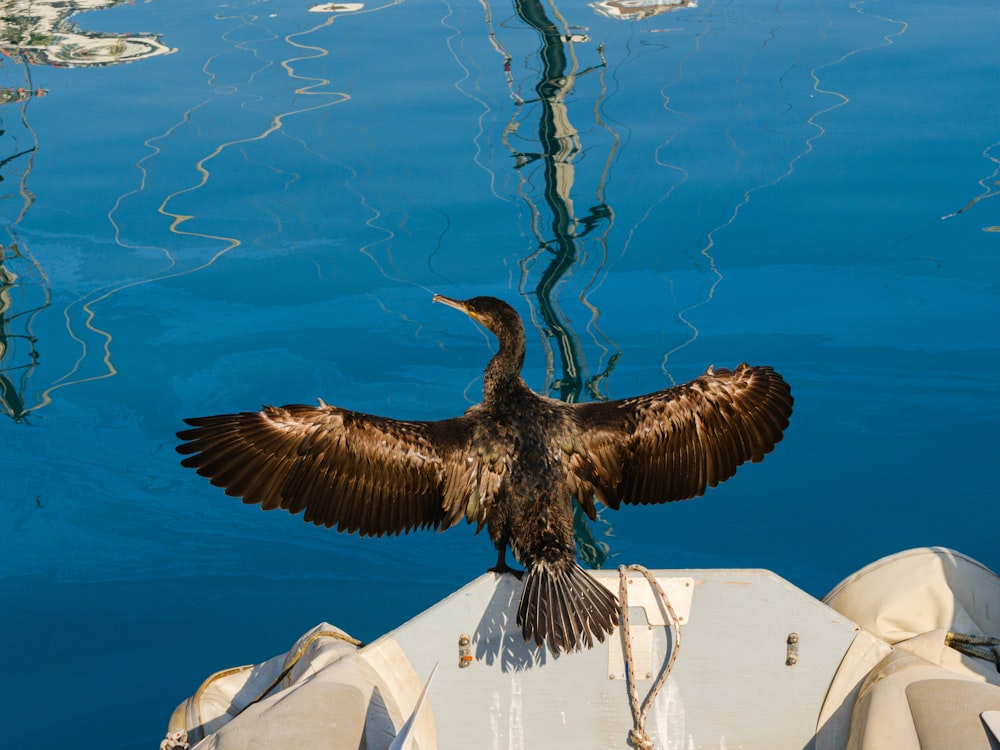 a bird is sitting on the edge of a boat