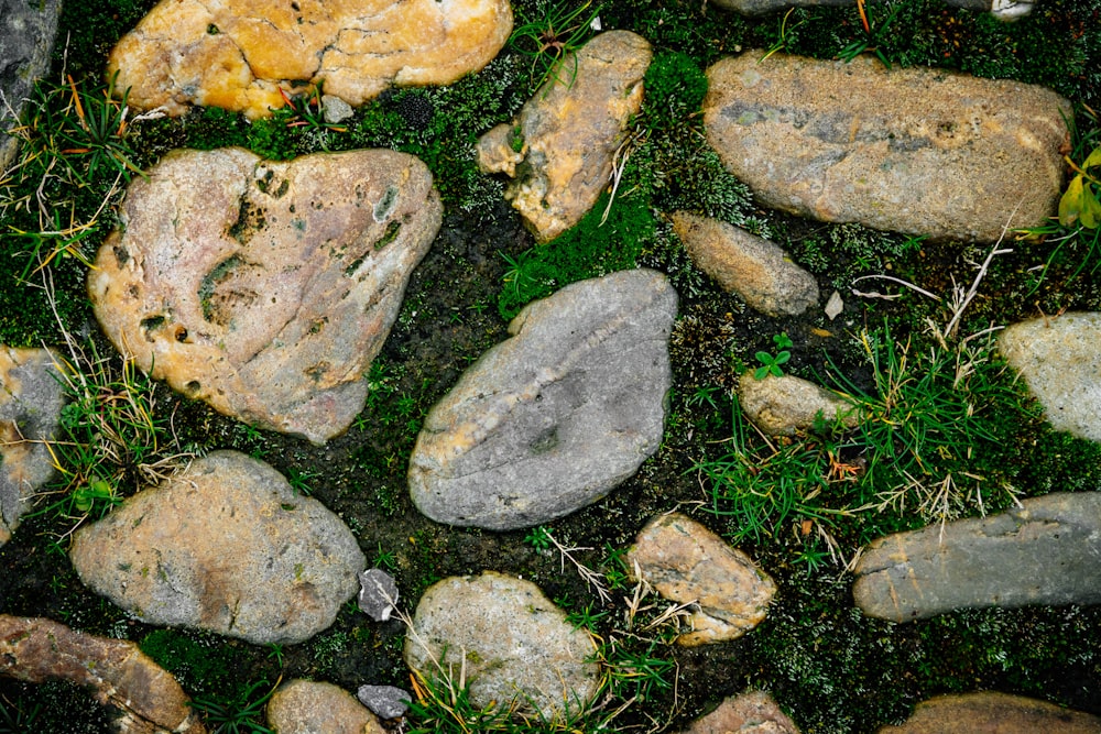 a bunch of rocks that are sitting in the grass