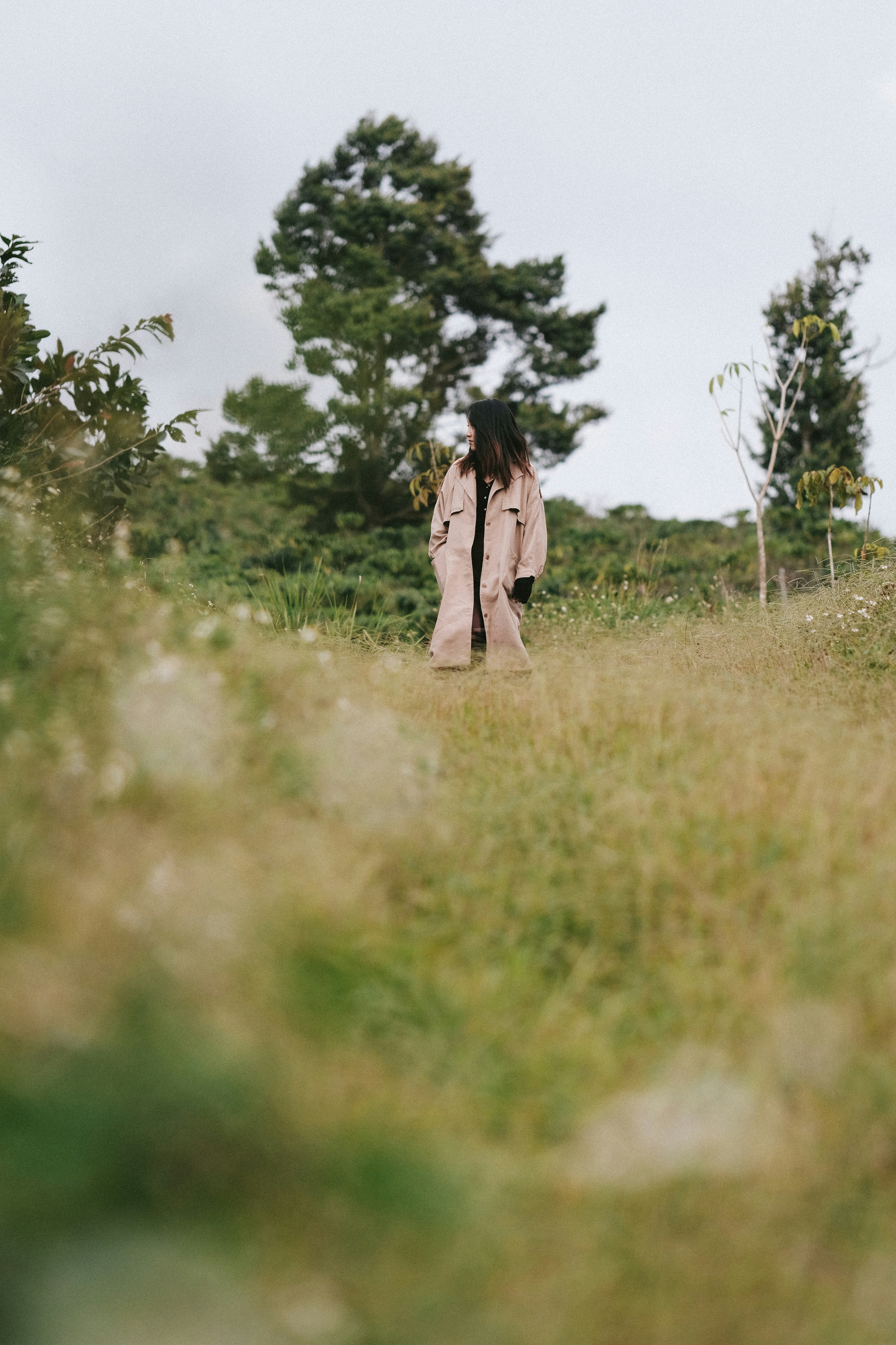 Photo by nguyentrungnguyen