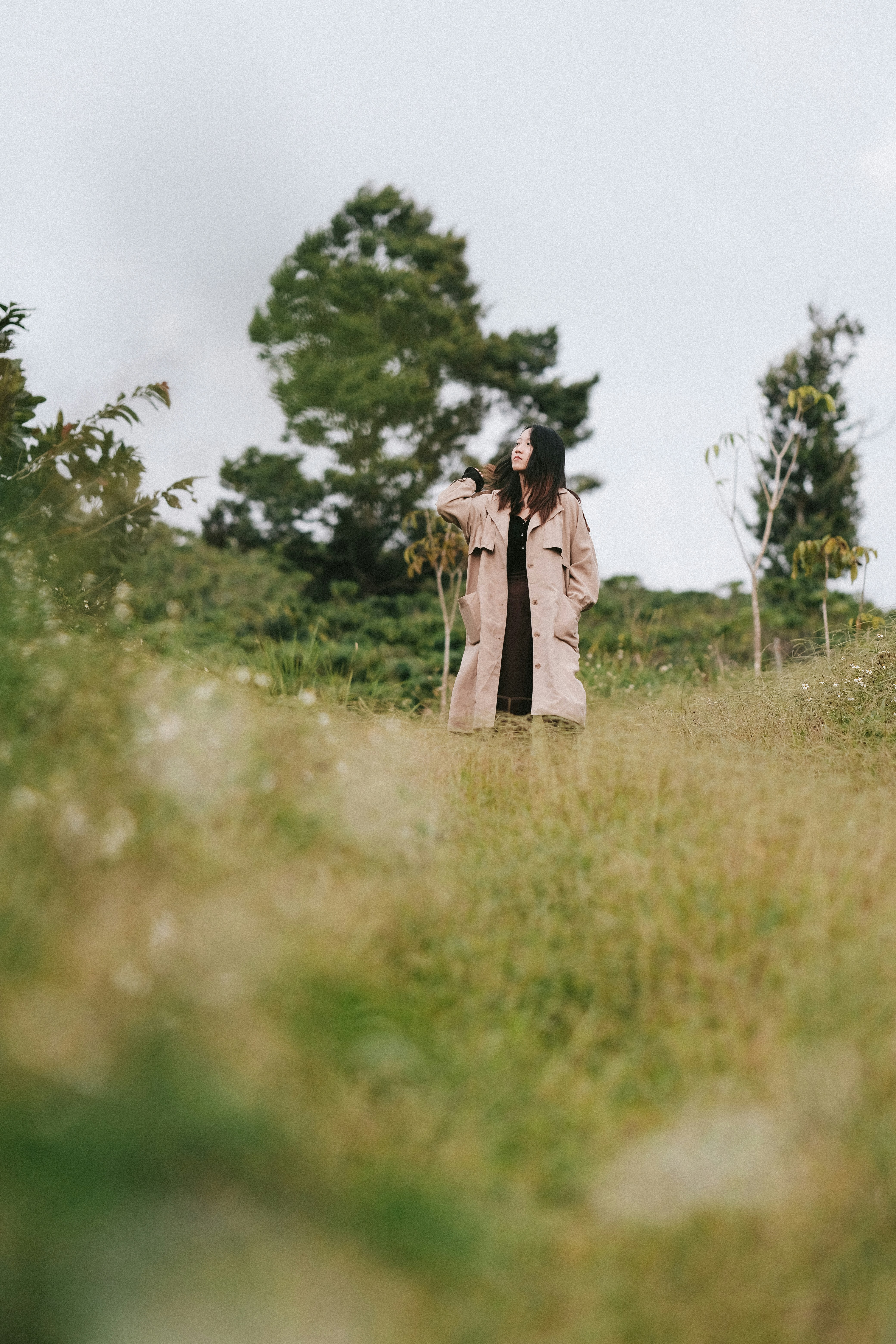 Photo by nguyentrungnguyen