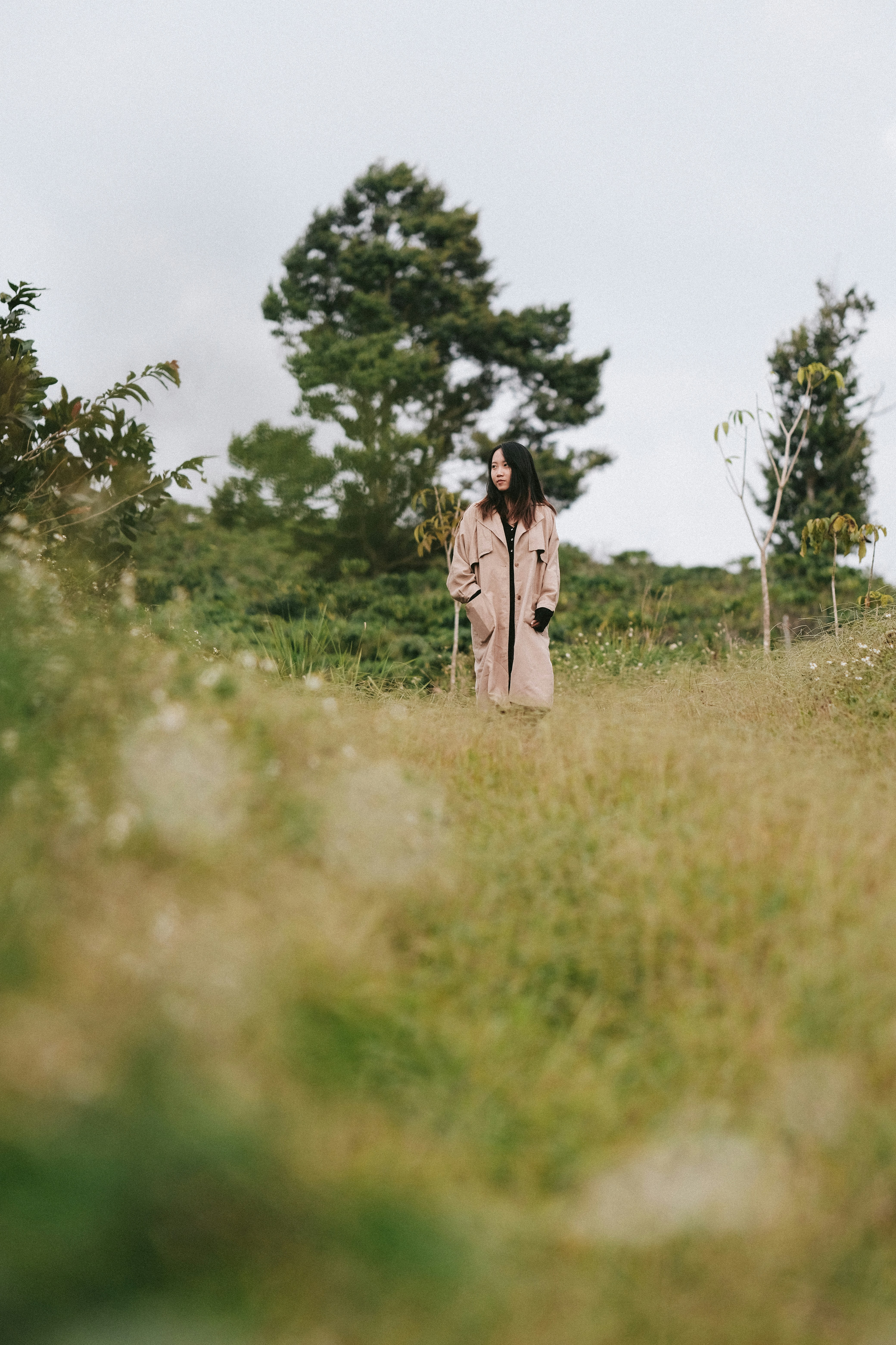 Photo by nguyentrungnguyen